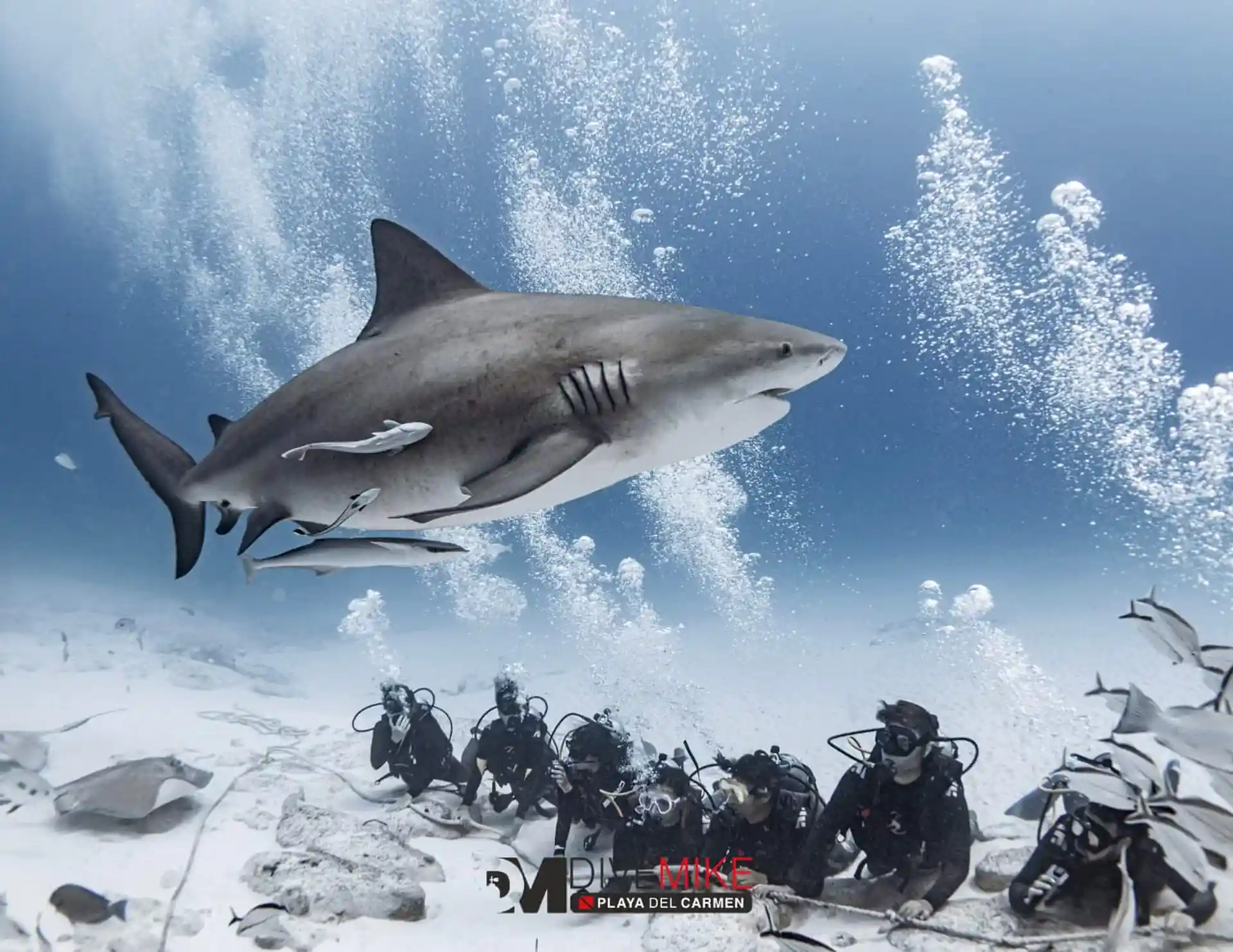Dive site photo