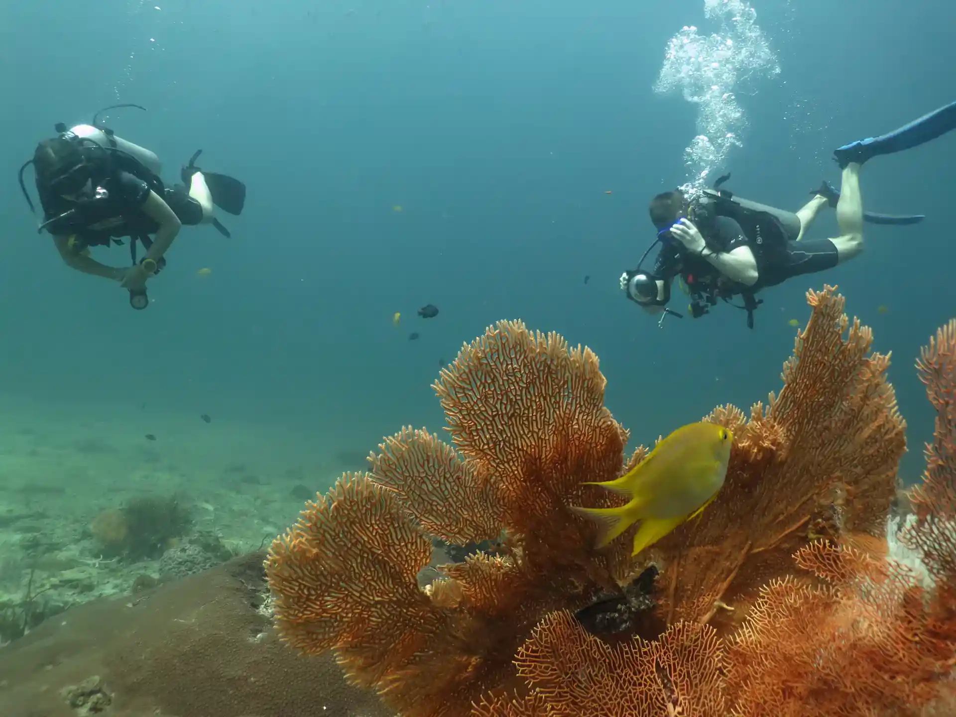Dive site photo