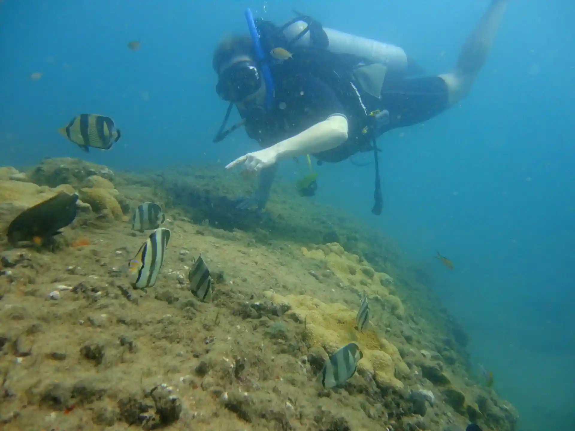 Dive site photo