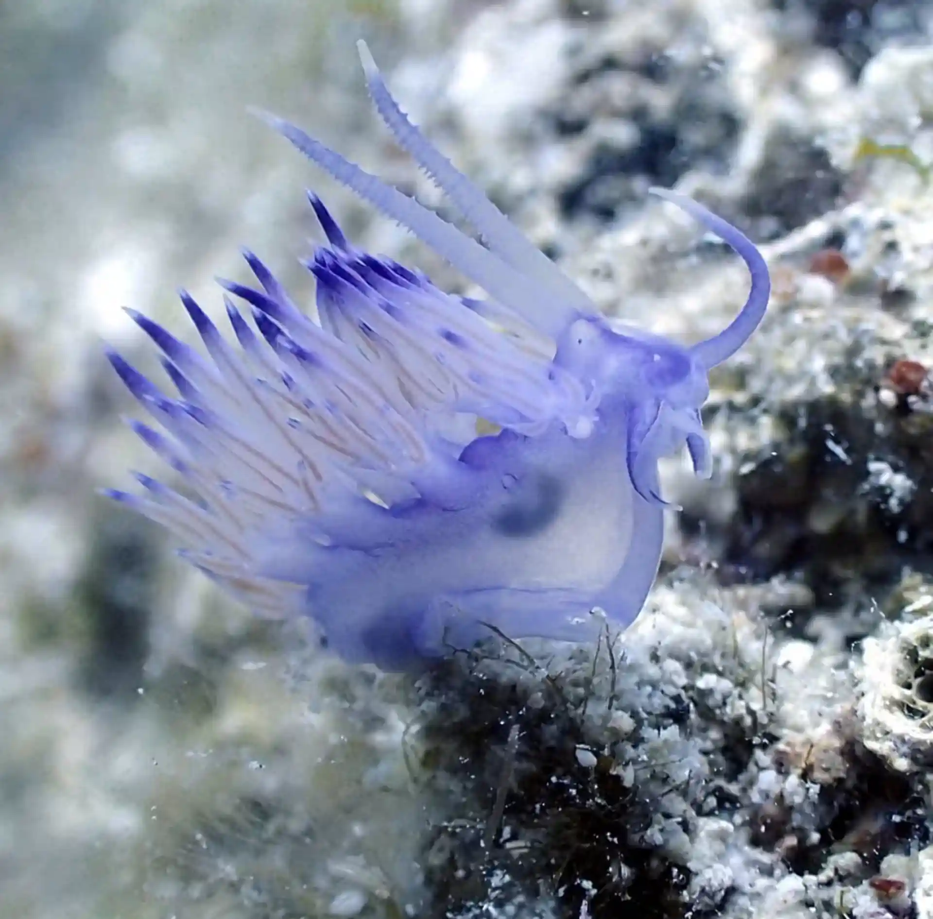 Dive site photo