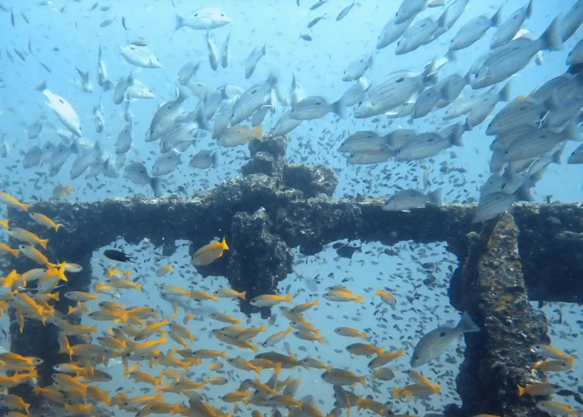 Dive site photo