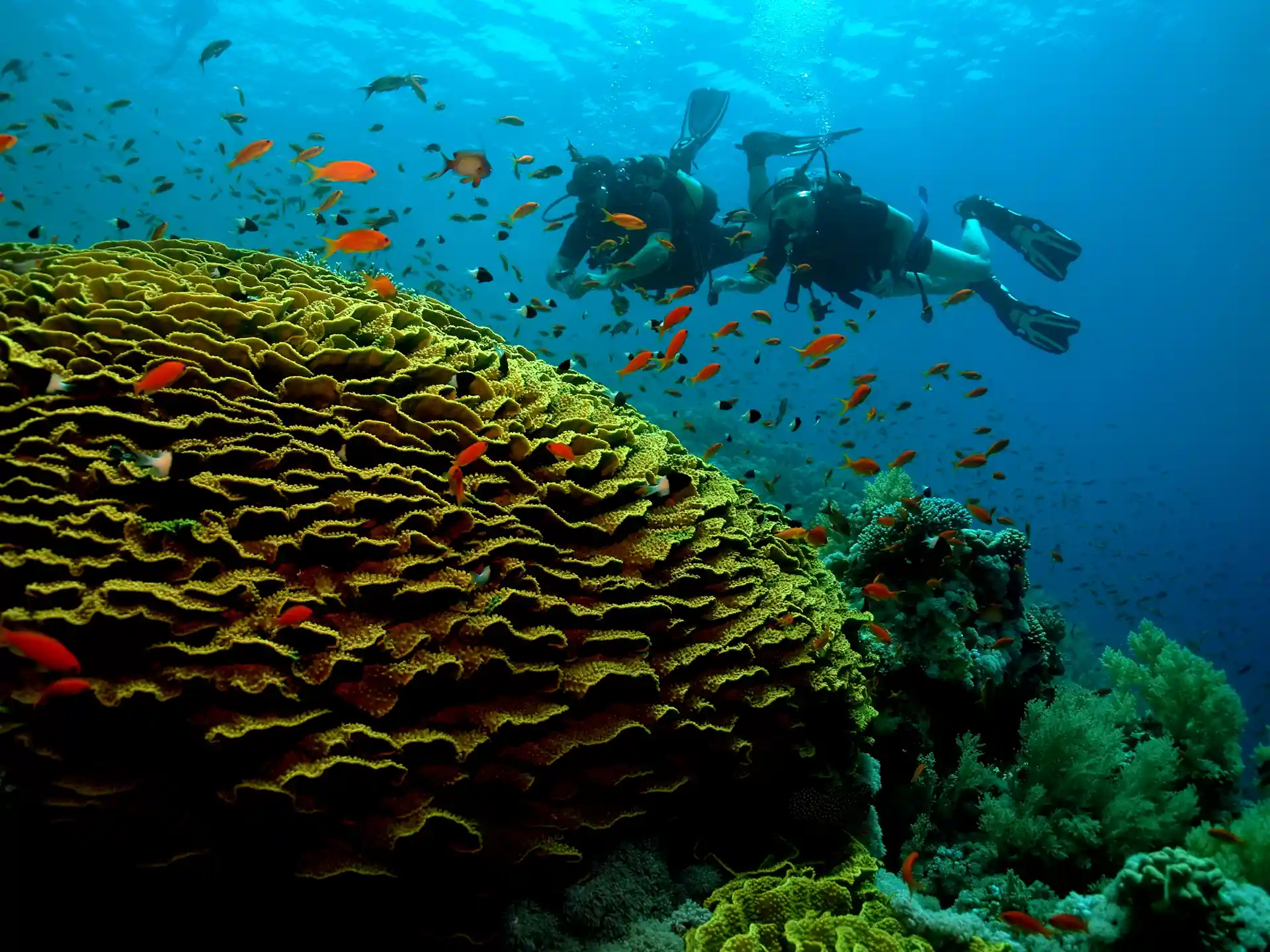 Jackson Reef nello stretto di Tiran