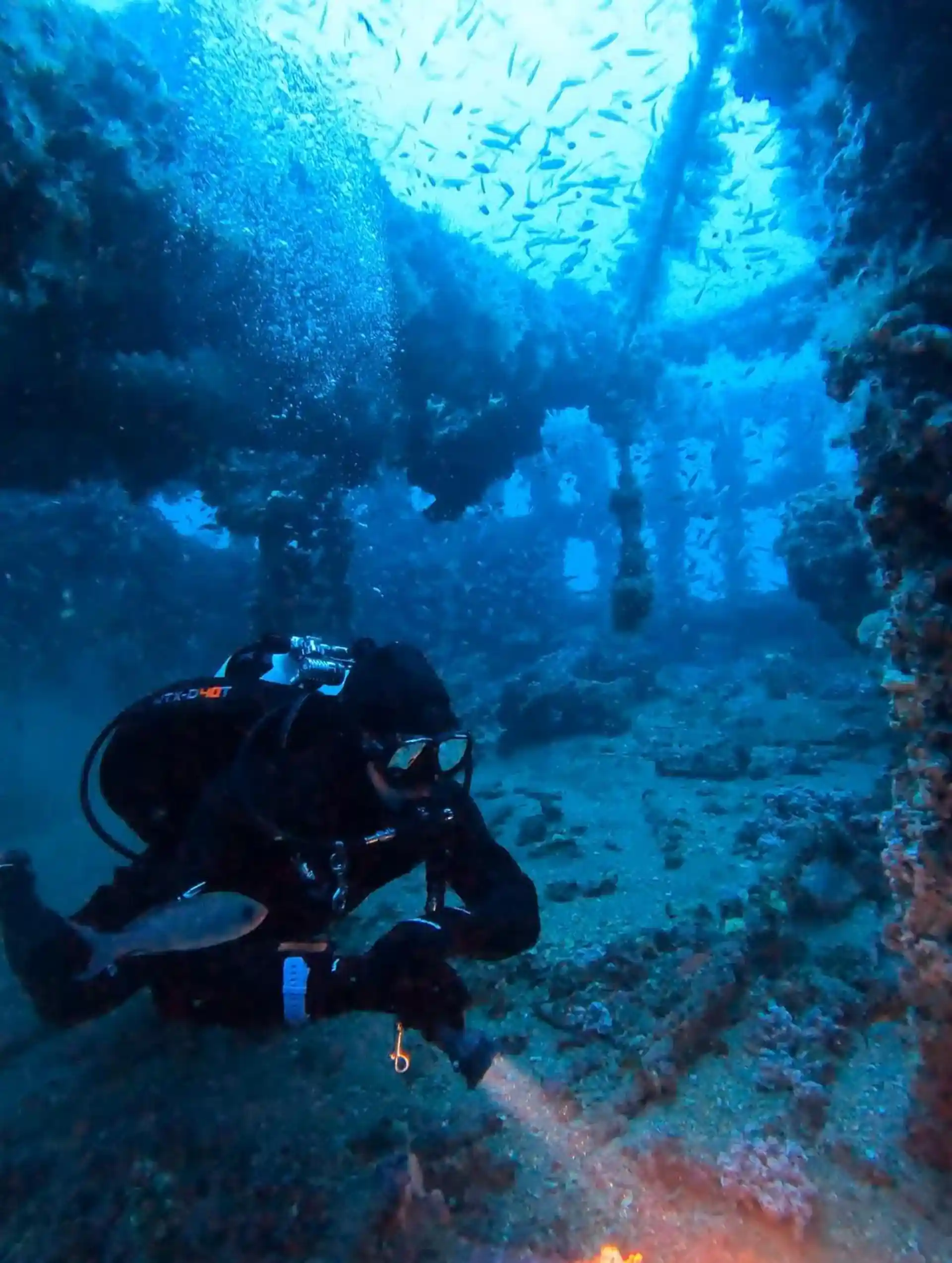 Dive site photo