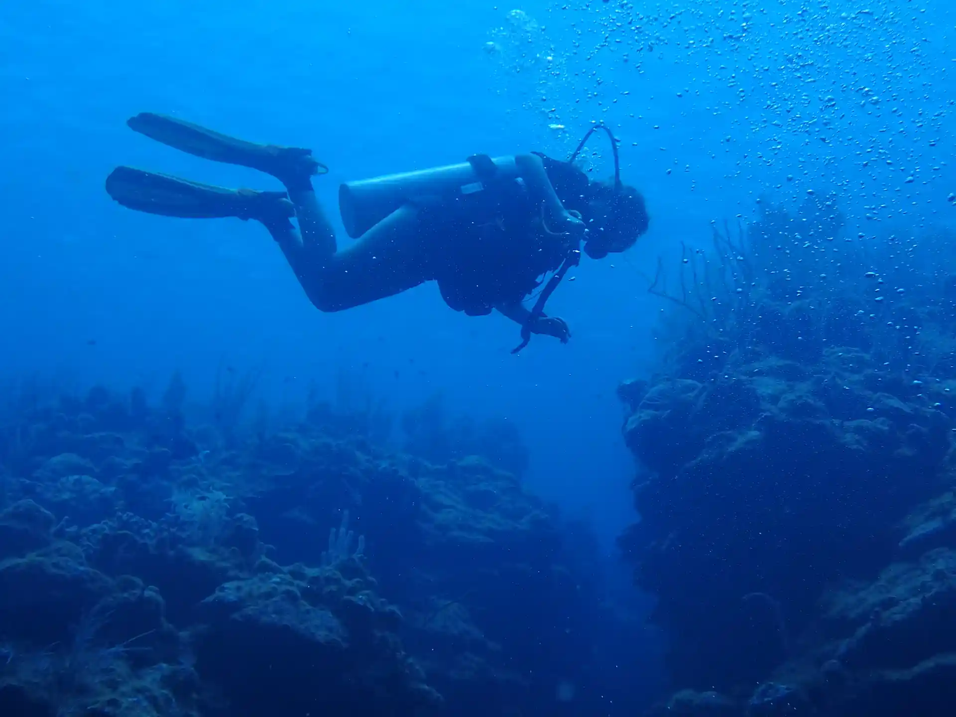 Dive deep with confidence.