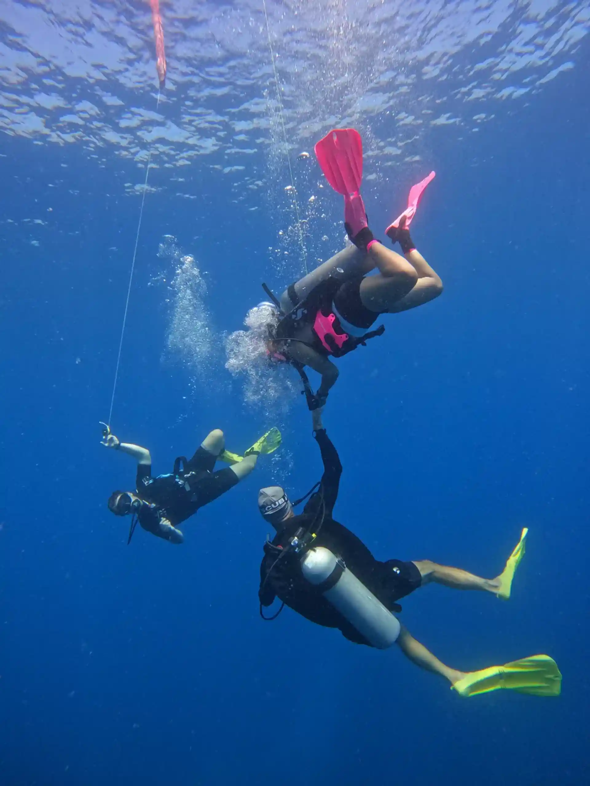 Dive site photo