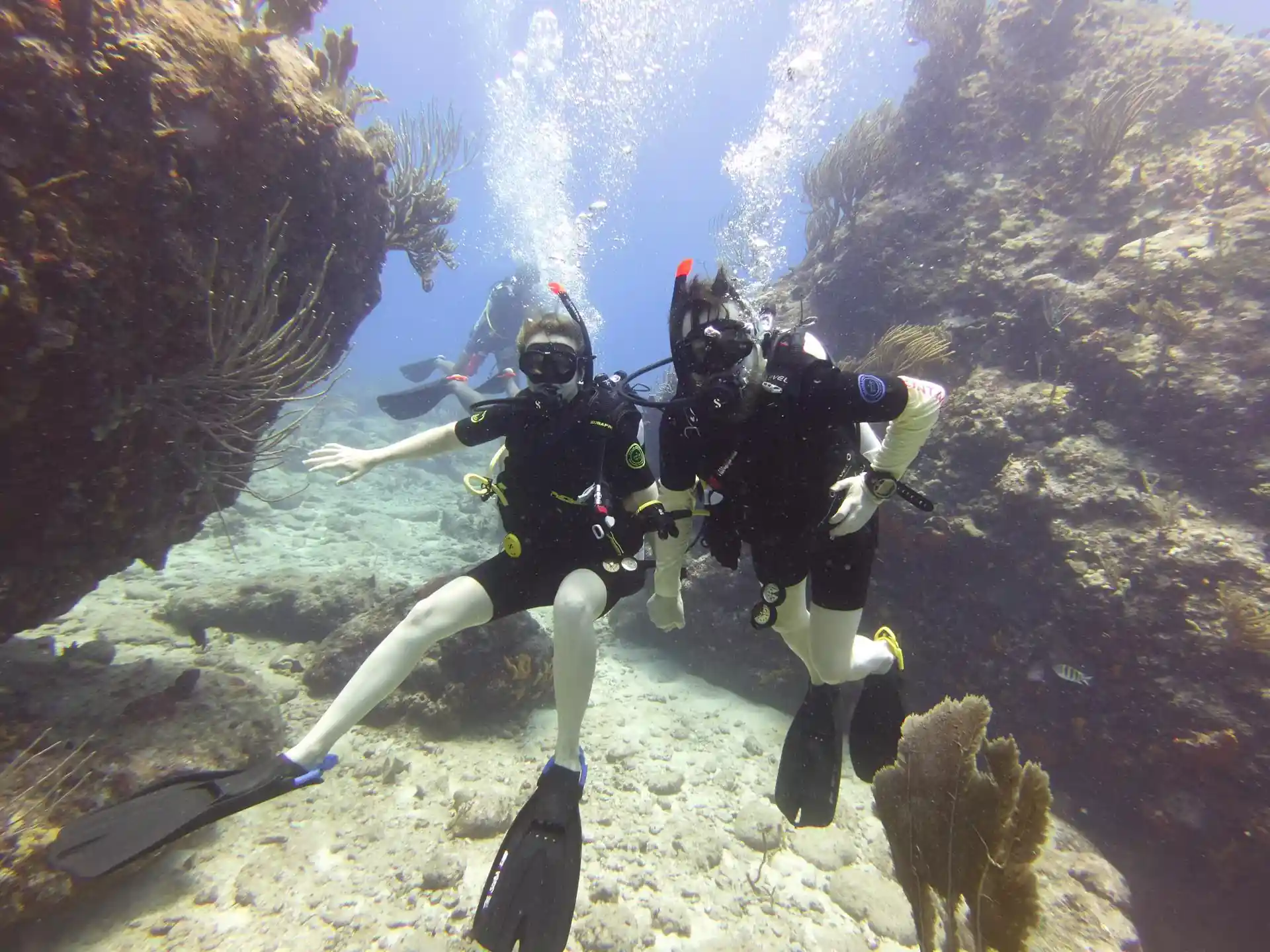 Dive site photo