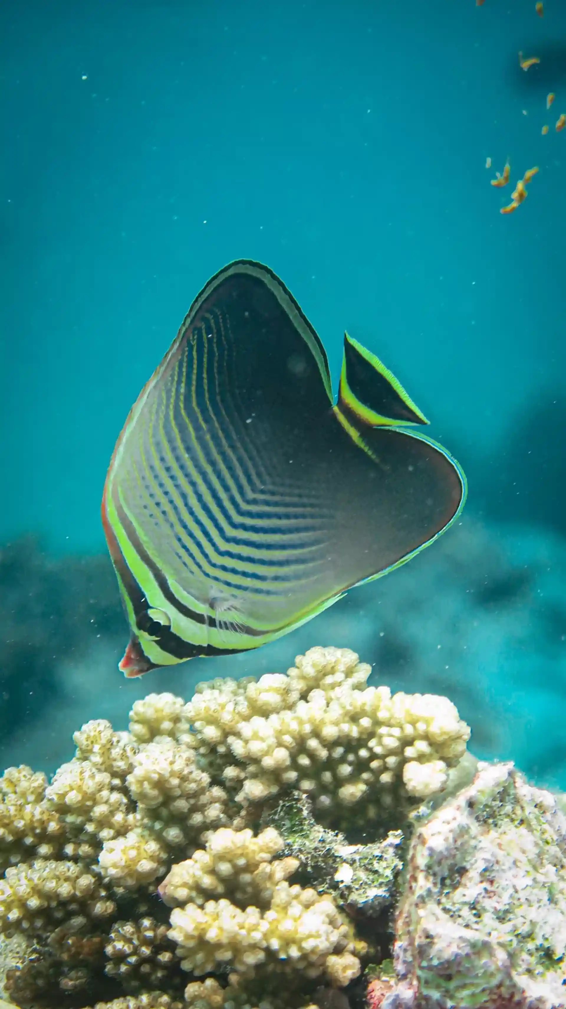 Foto del sitio de buceo