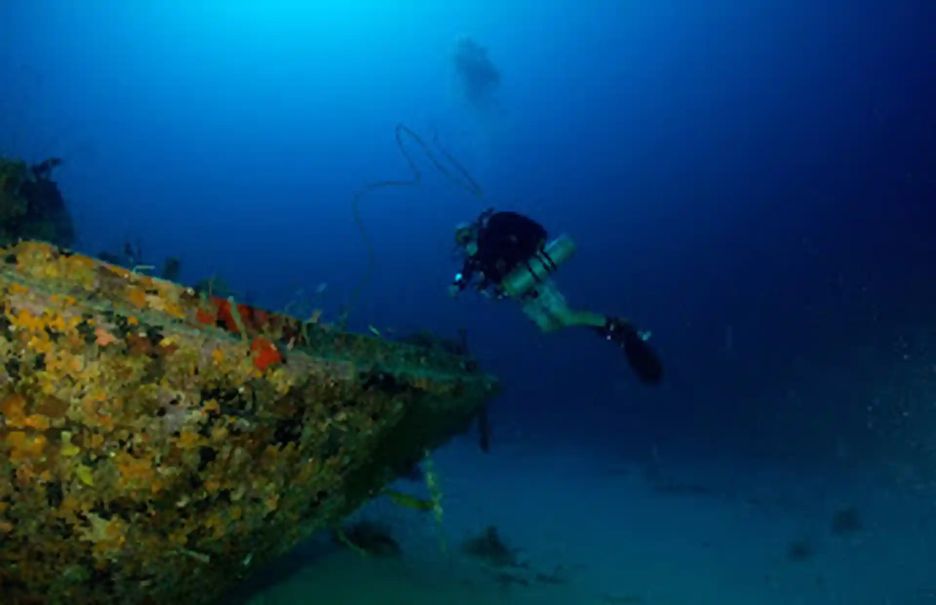 Dive shop photo