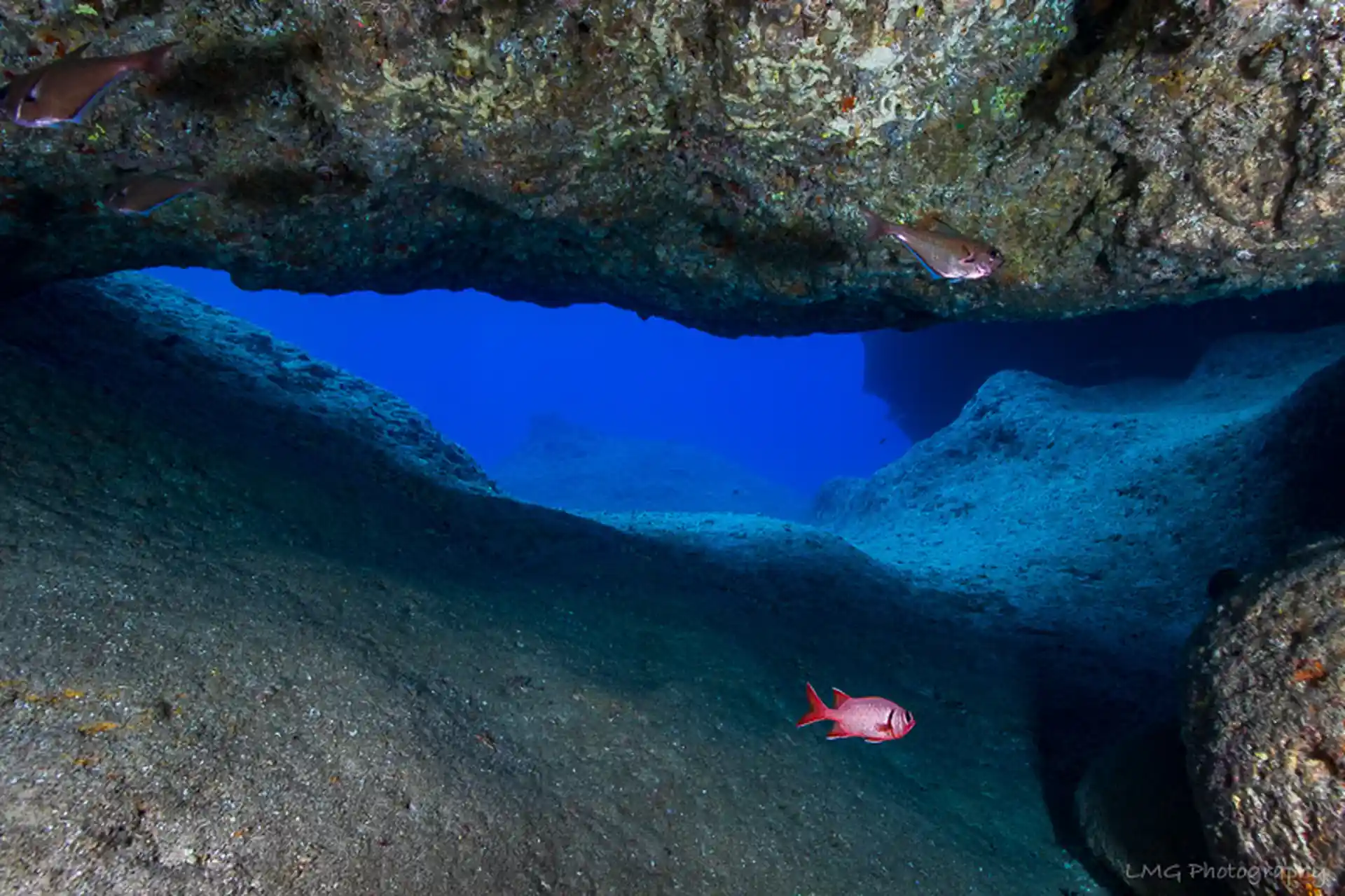 Dive site photo