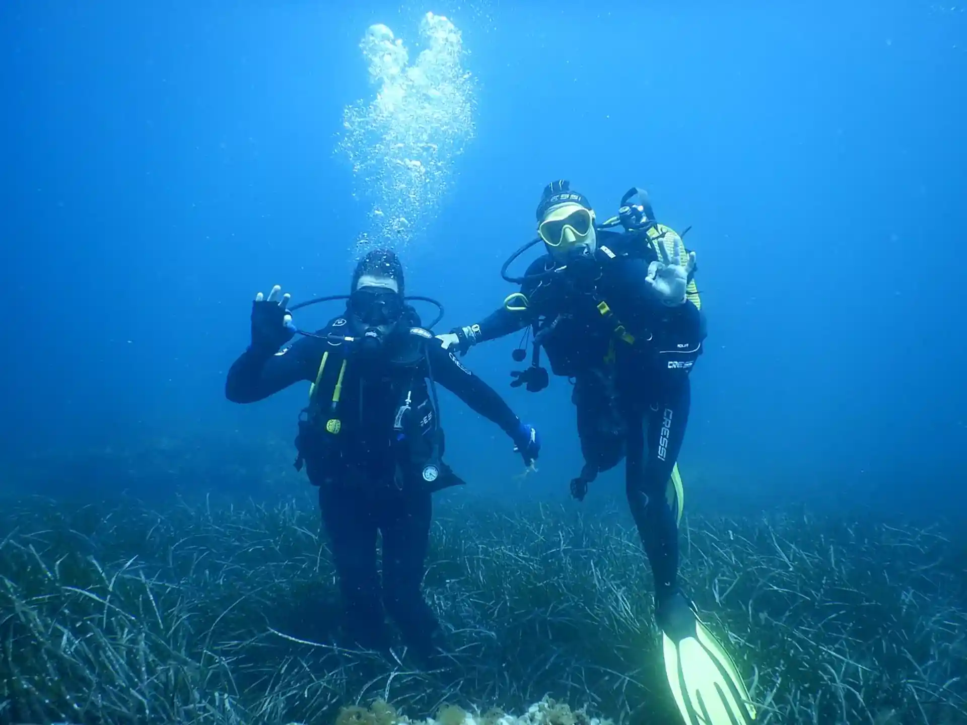 Foto de la actividad