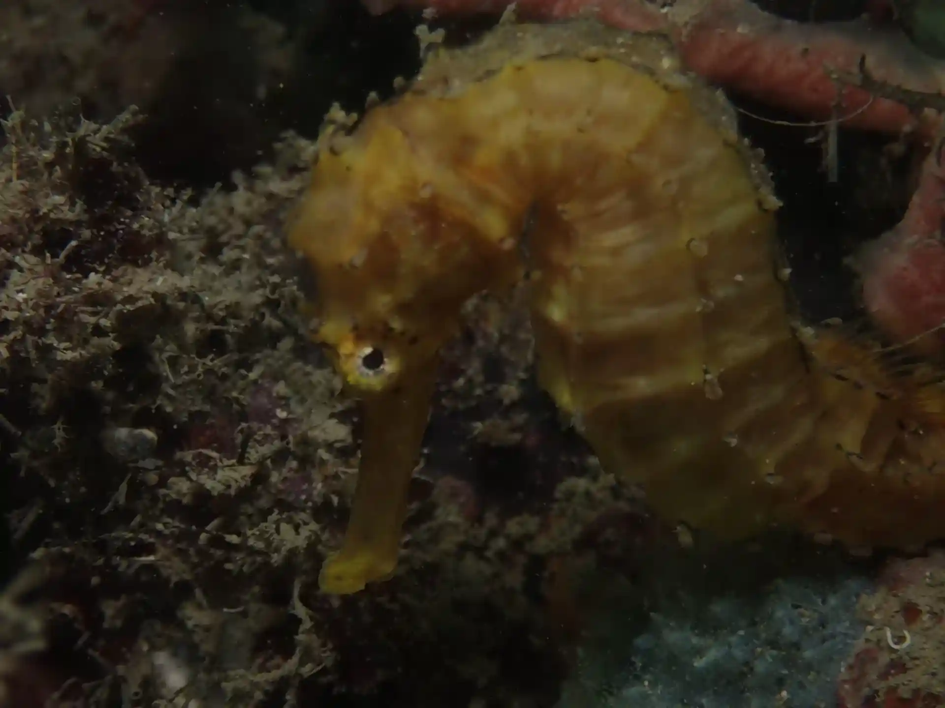 Foto del sitio de buceo