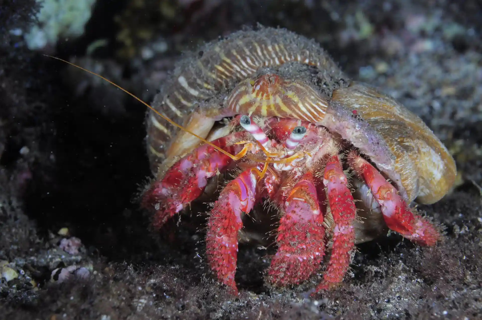 Foto des Tauchplatzes