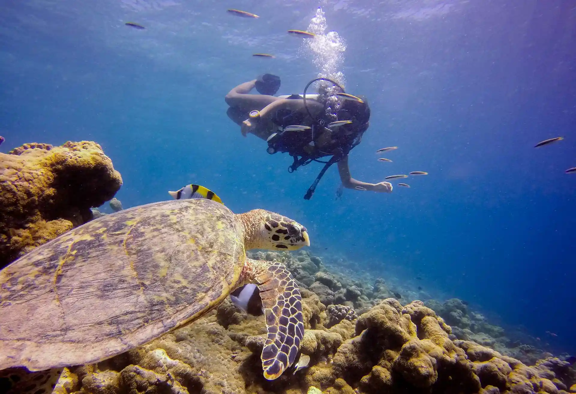 Dive shop photo