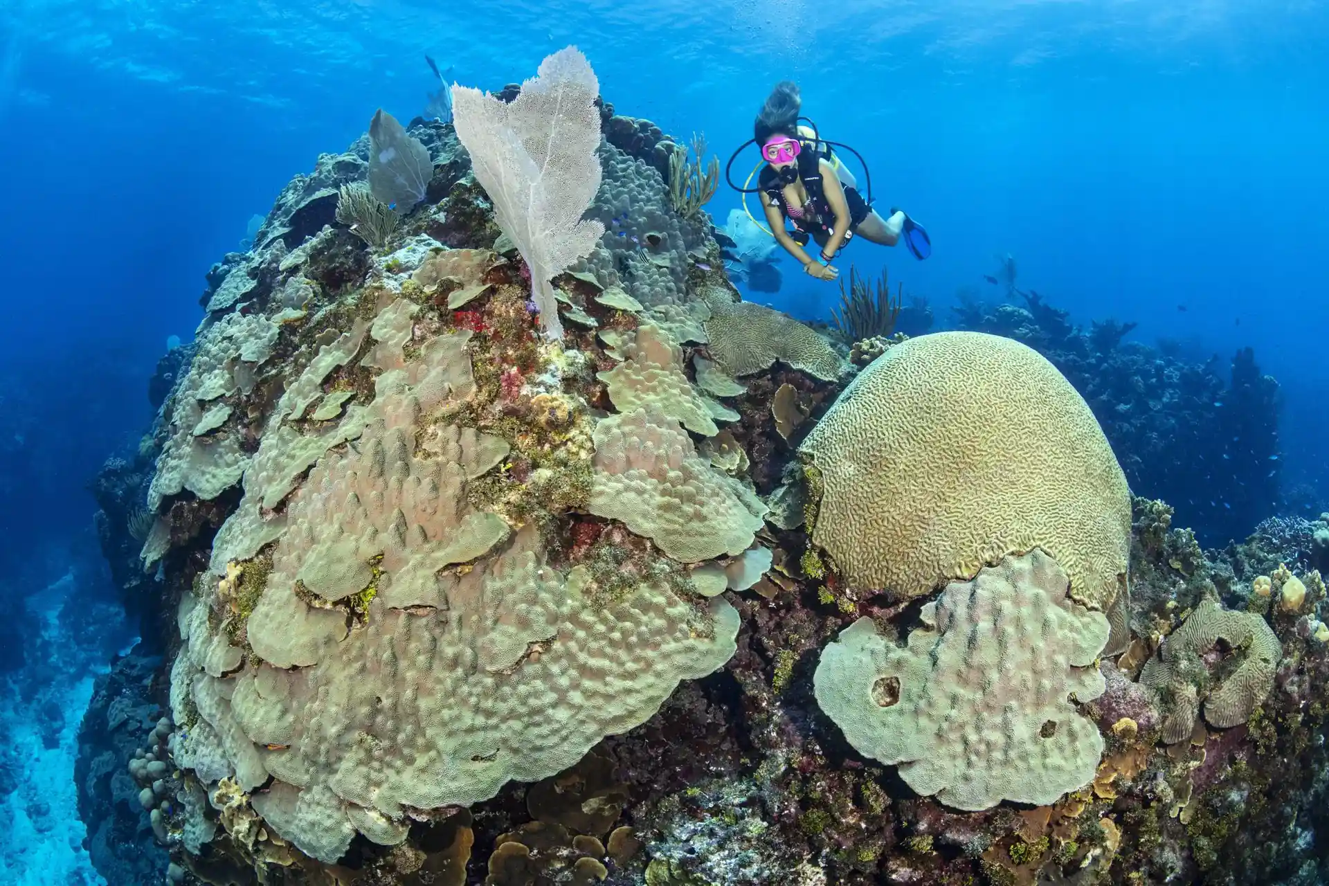 Dive site photo