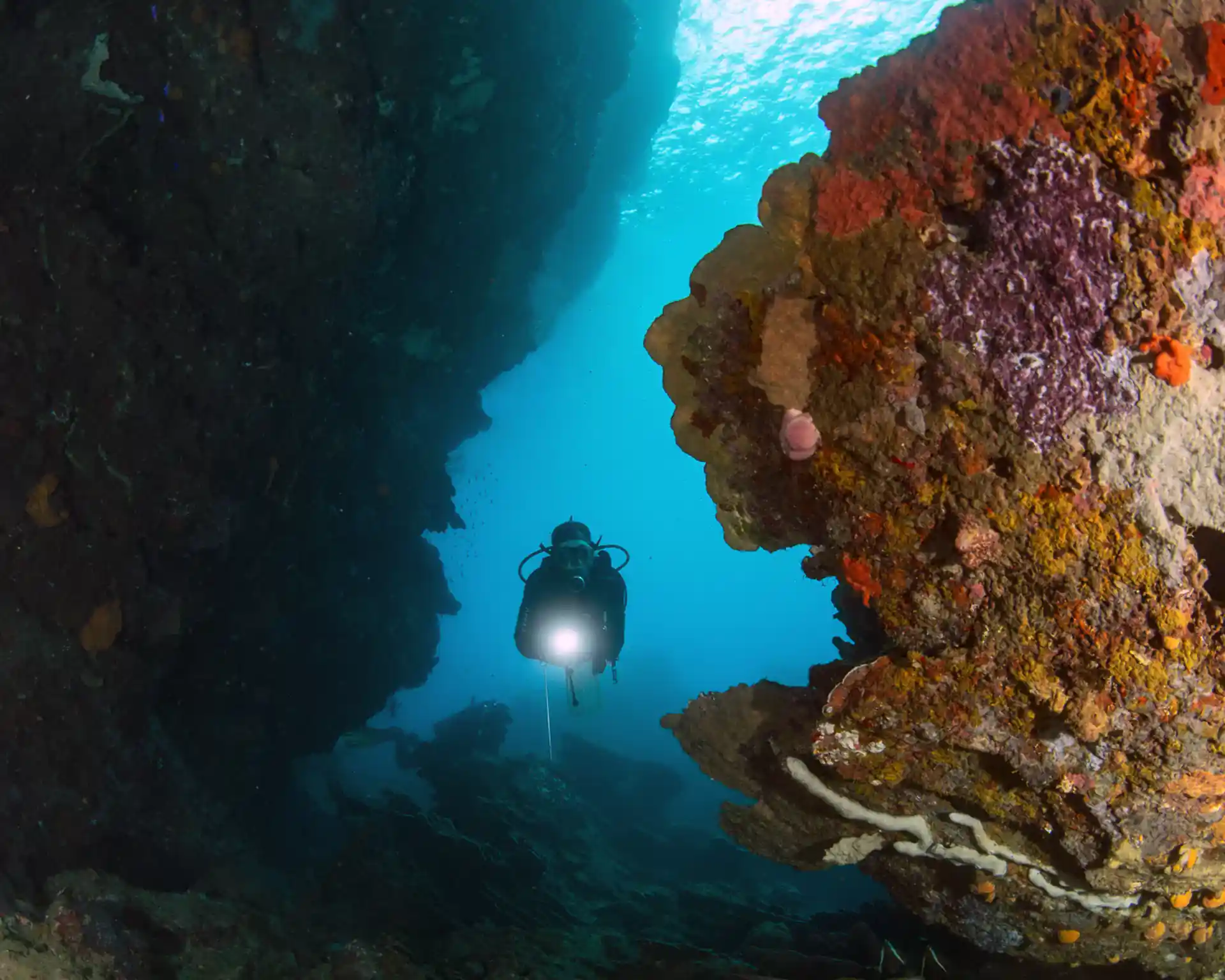 Photo du site de plongée
