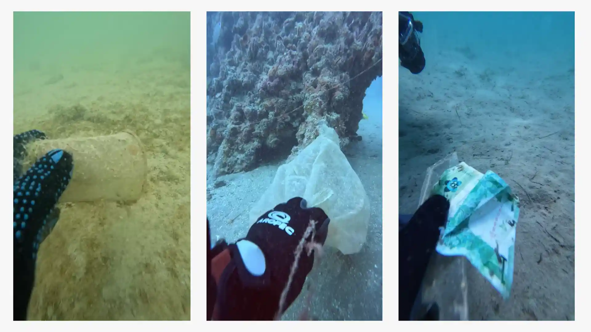 SEAsters in Action : All-Women Clean-up Dive Day