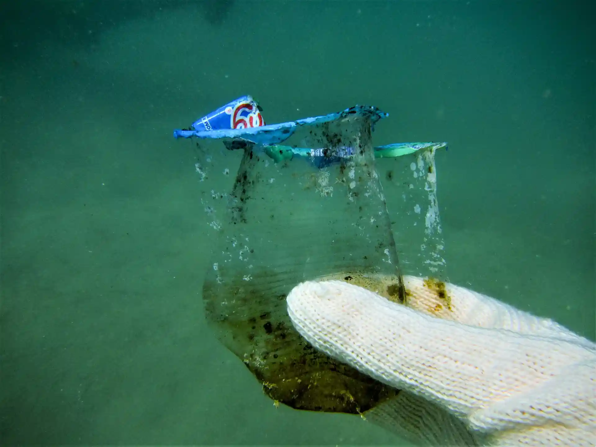 Photo de l'activité