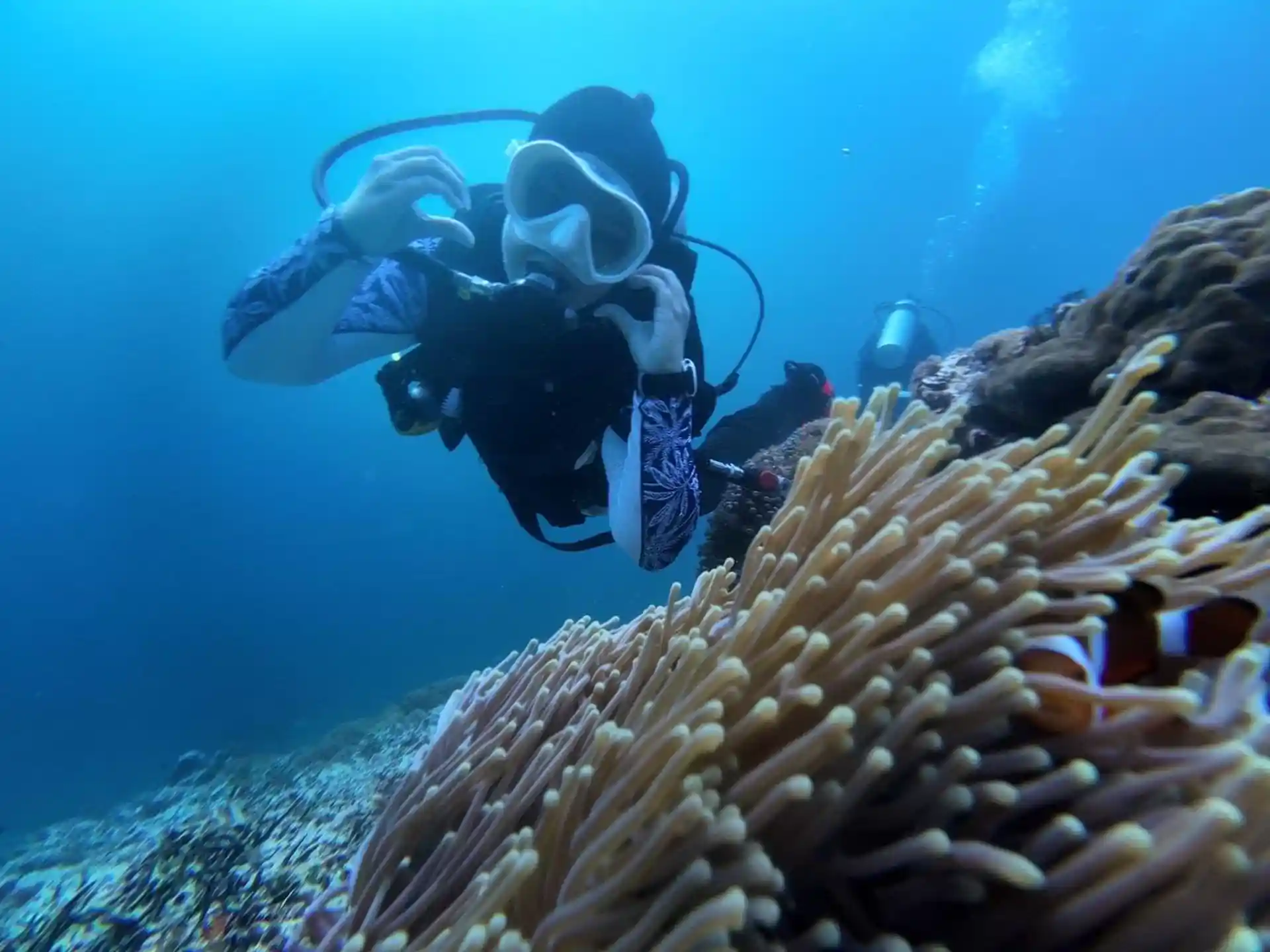 Dive shop photo