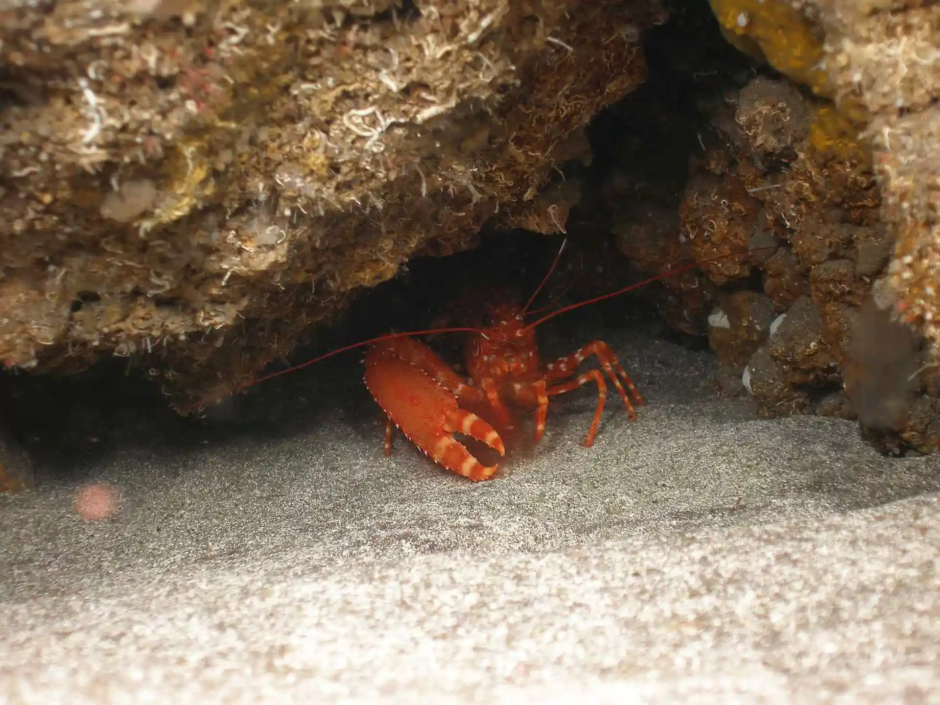 Dive site photo
