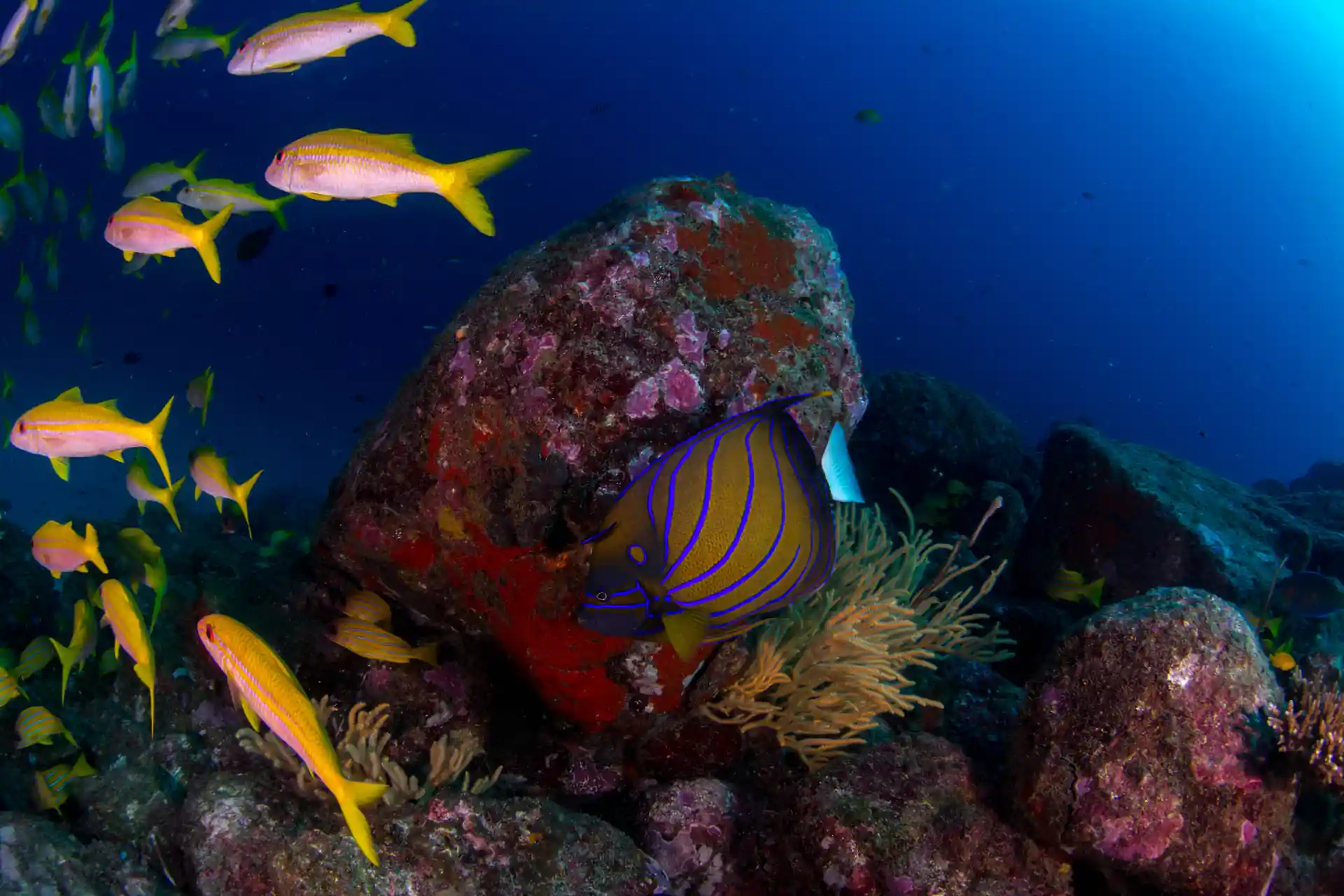 Dive shop photo