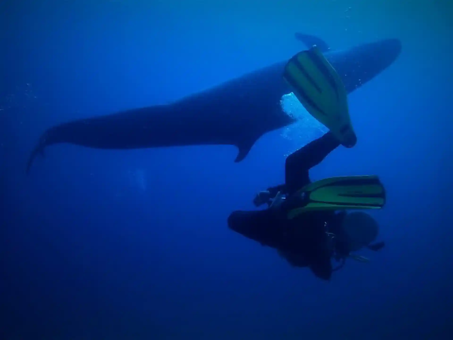 Dive site photo
