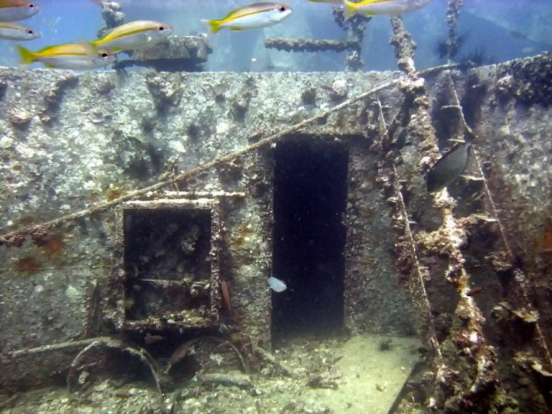 Dive site photo
