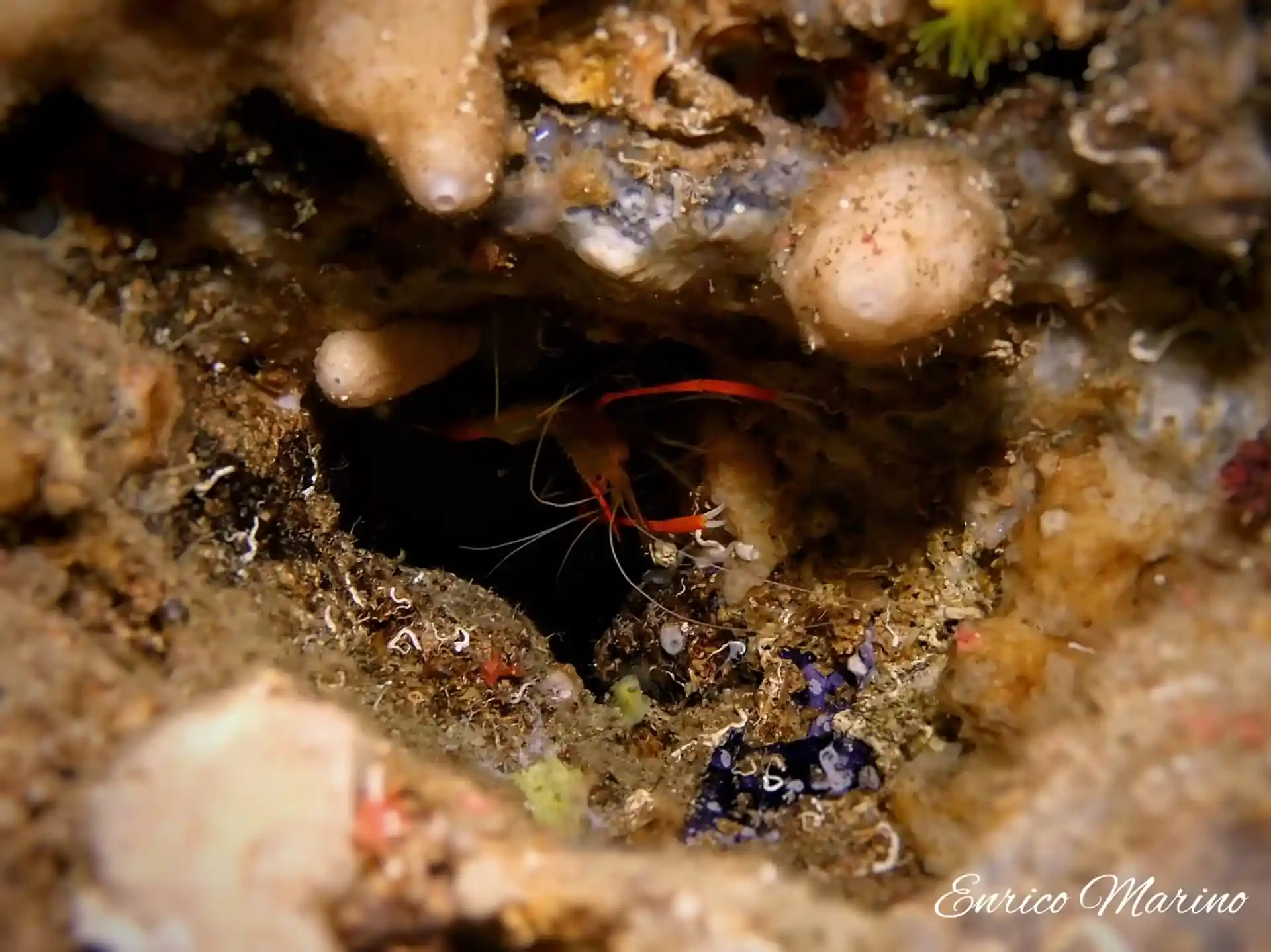 Photo du site de plongée