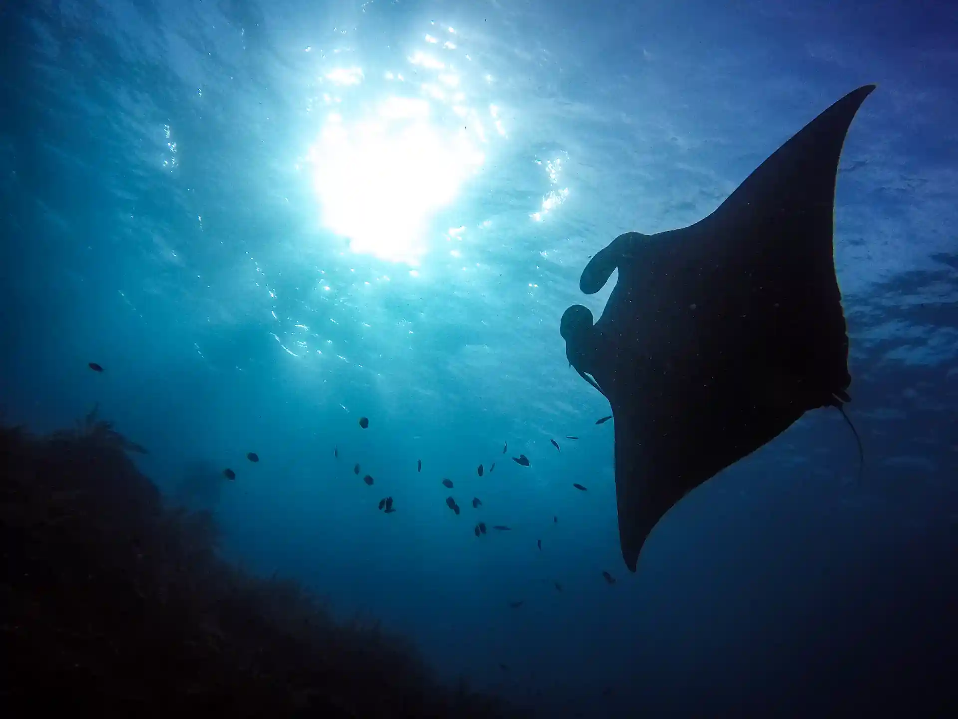 Photo de l'activité