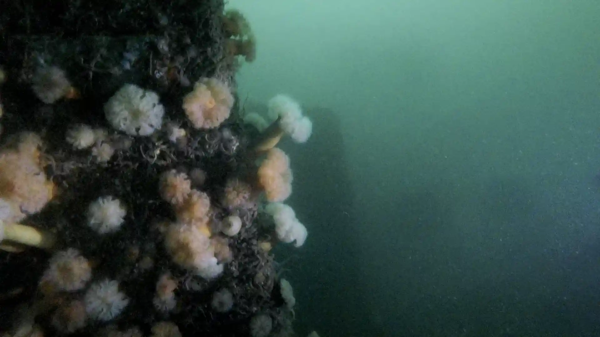 Foto del sitio de buceo