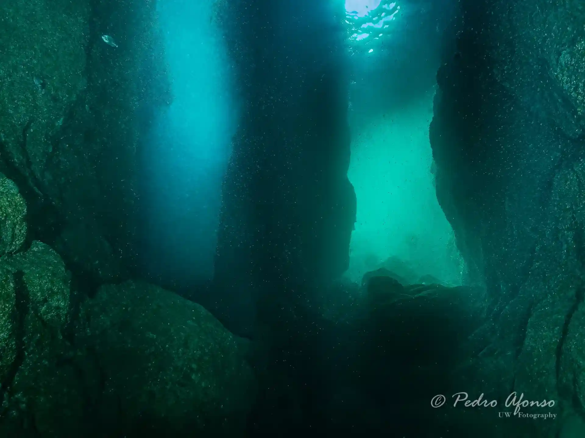 Dive shop photo