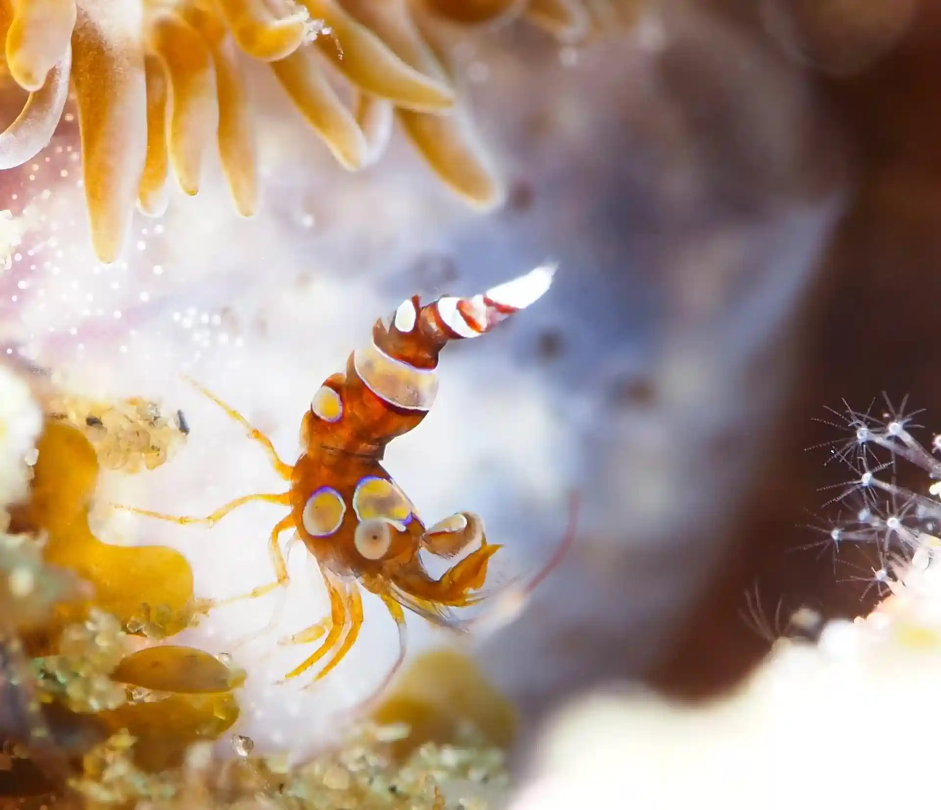 Dive shop photo