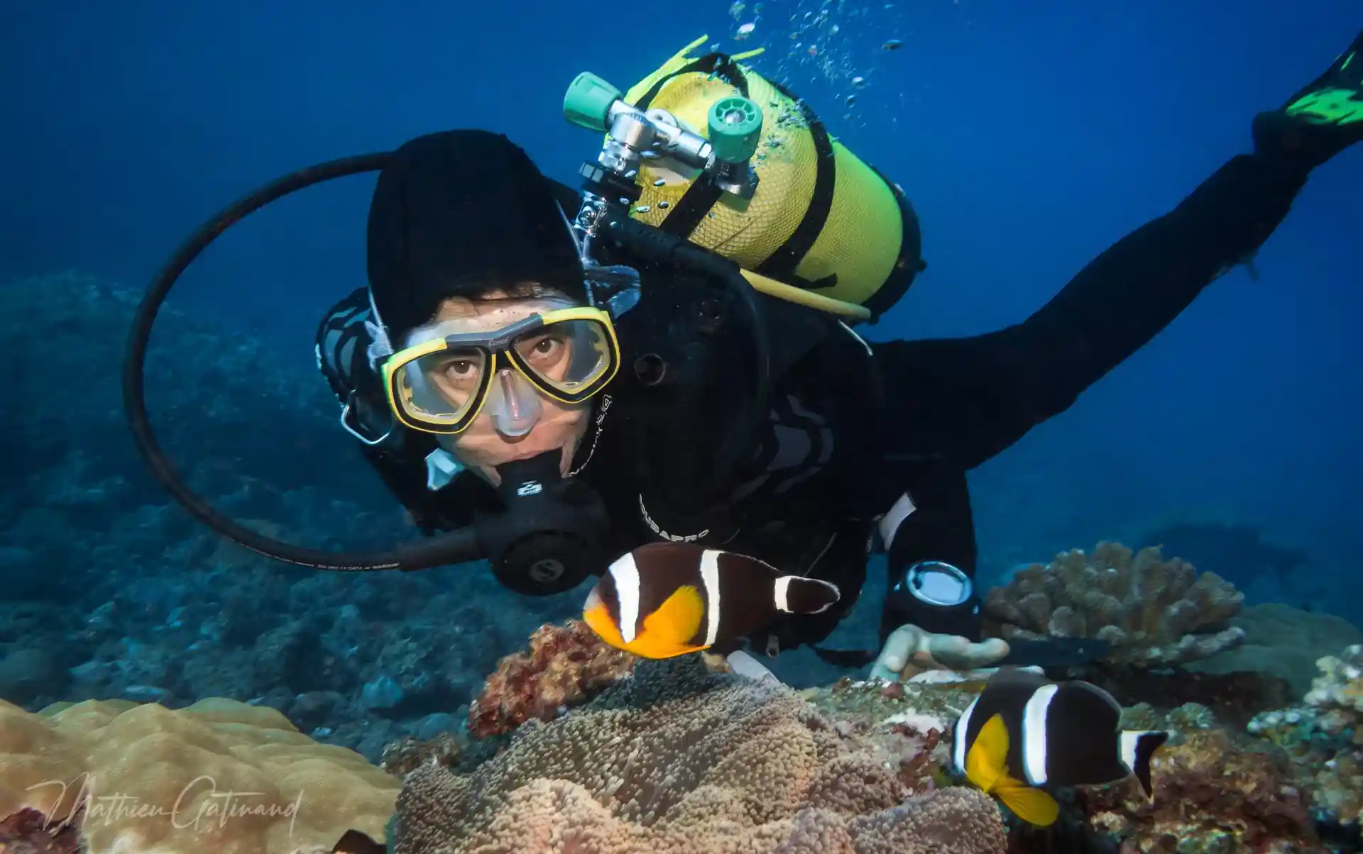 Dive shop photo