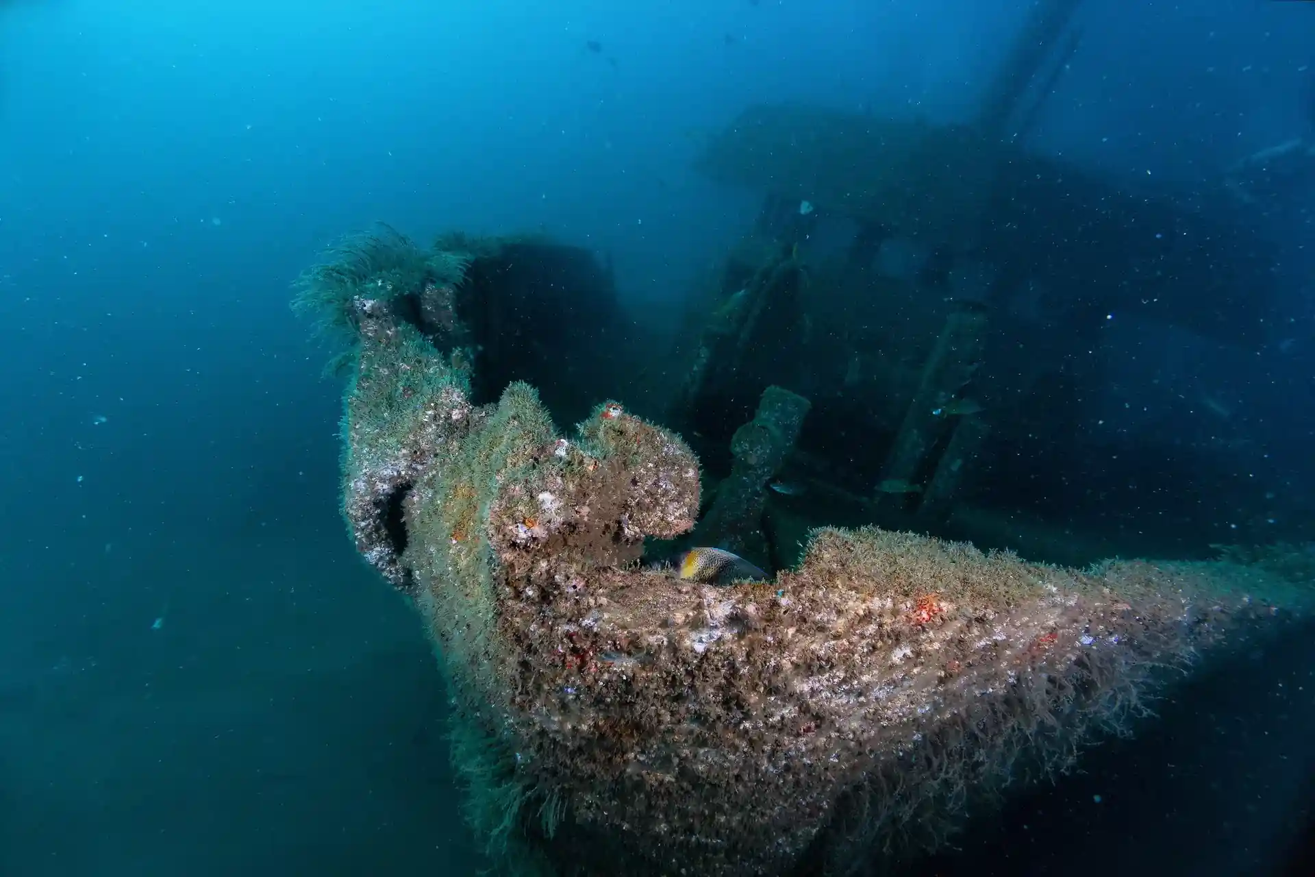 Dive site photo