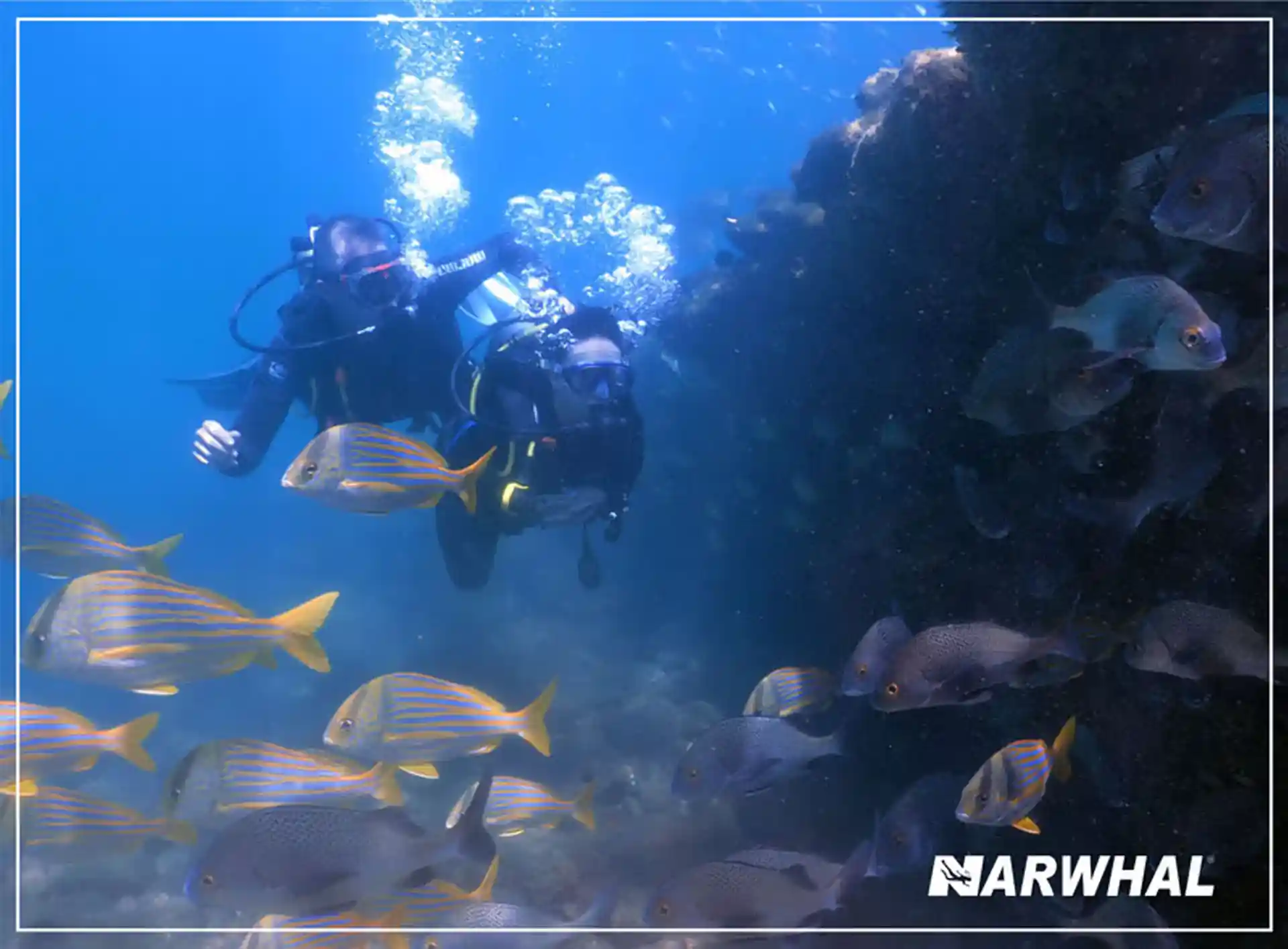 Dive shop photo