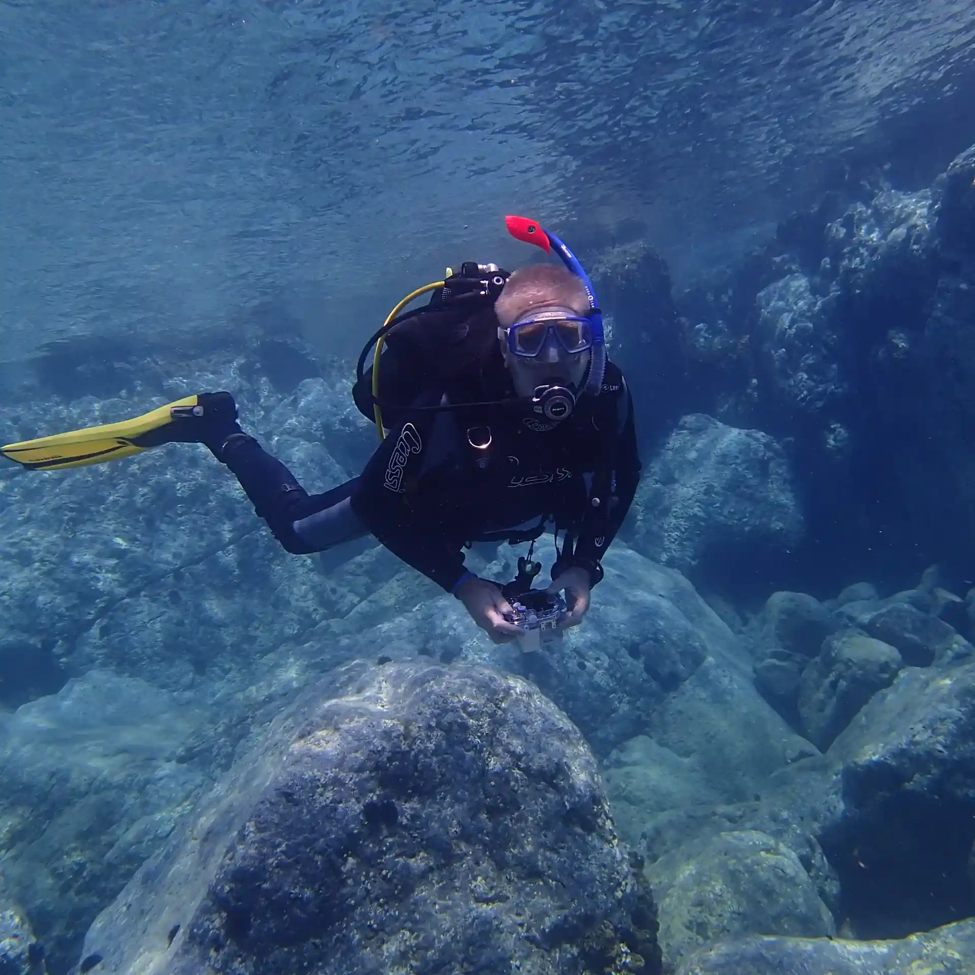 Photo de l'activité