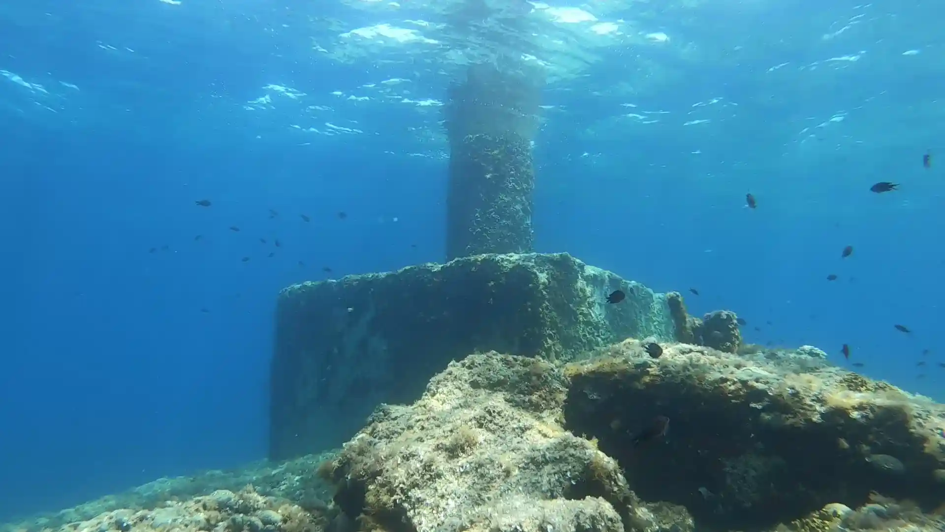 ダイビングサイトの写真