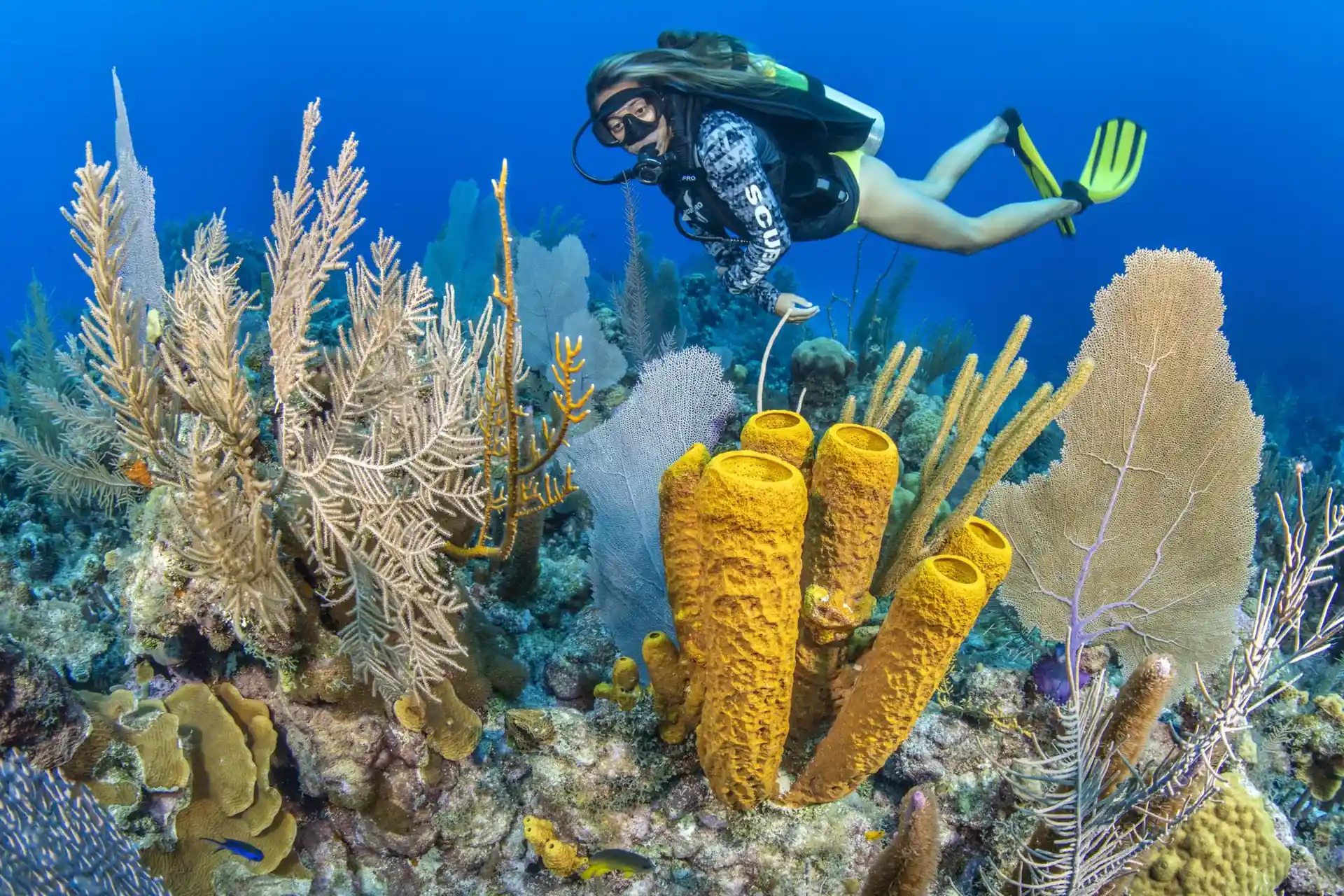 Dive site photo
