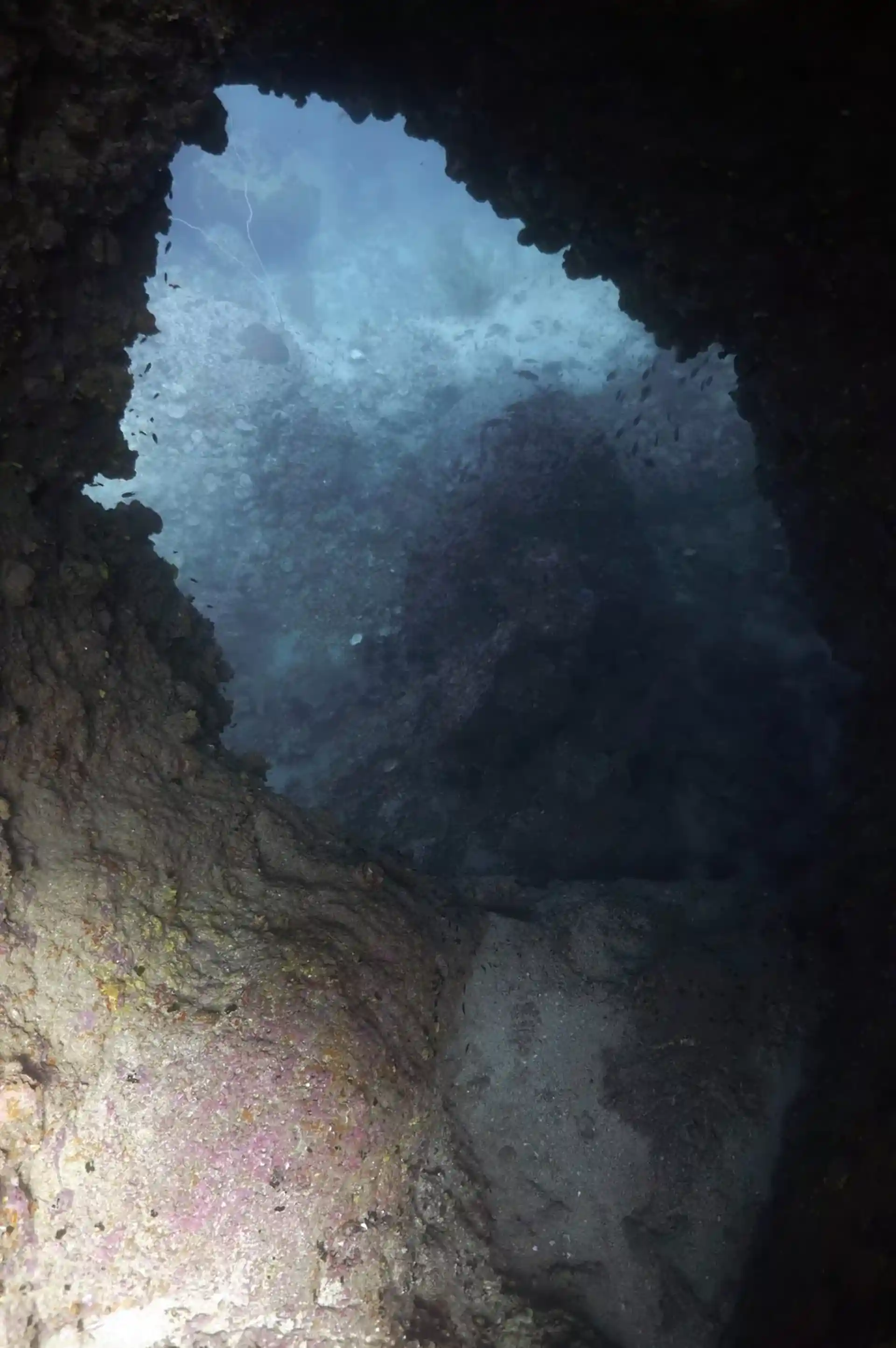 ダイビングサイトの写真