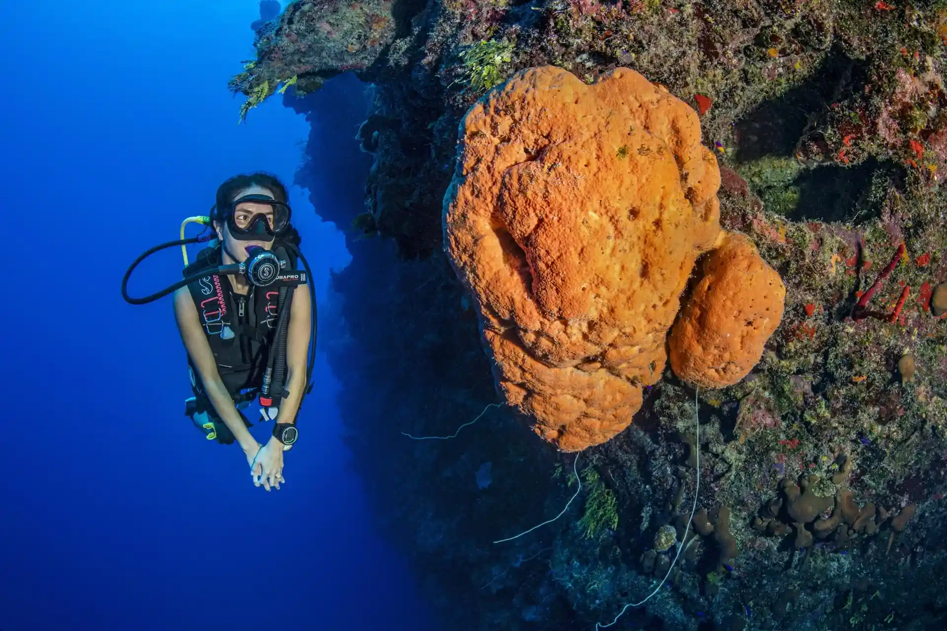 Dive site photo
