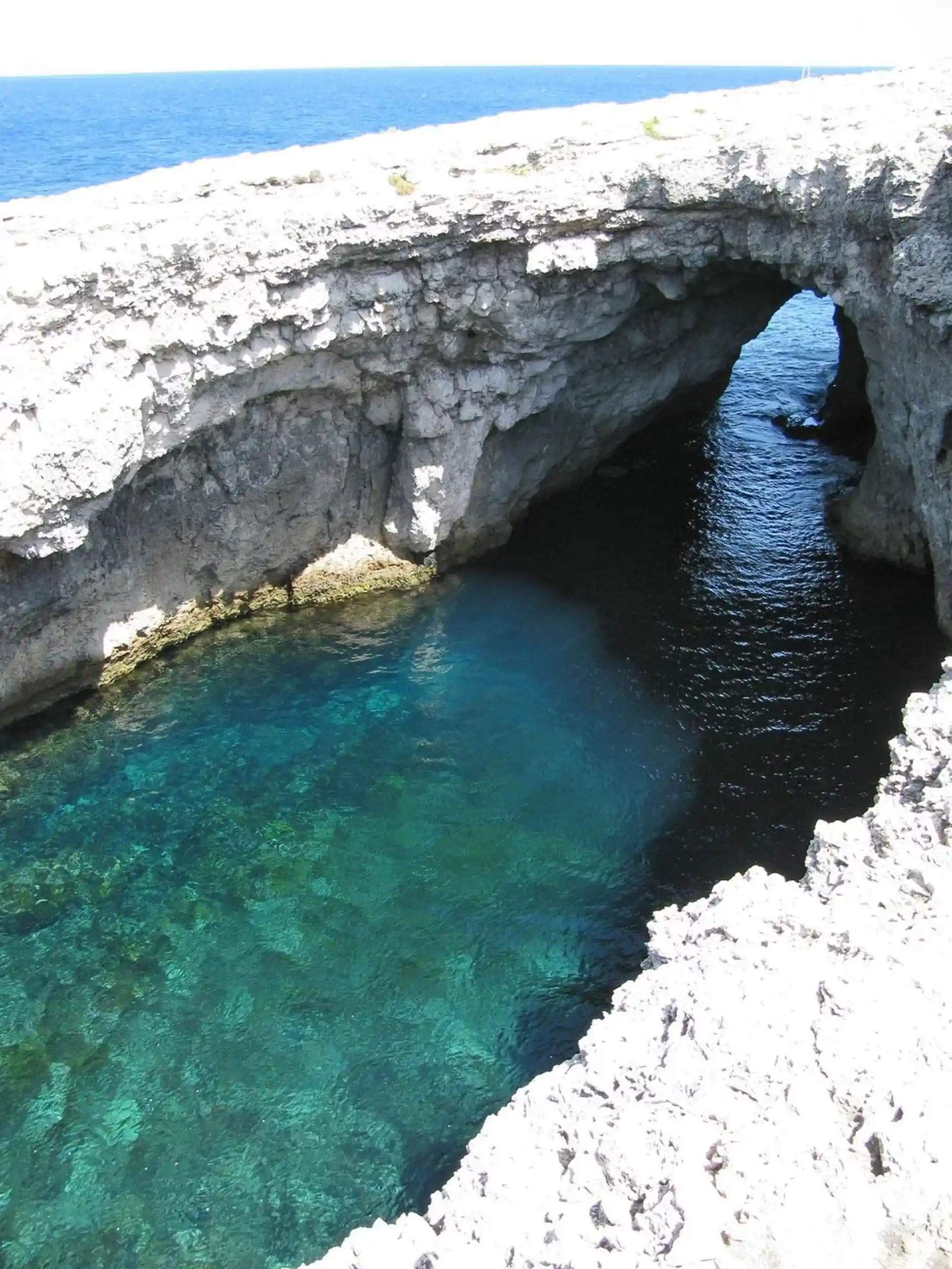 ダイビングサイトの写真