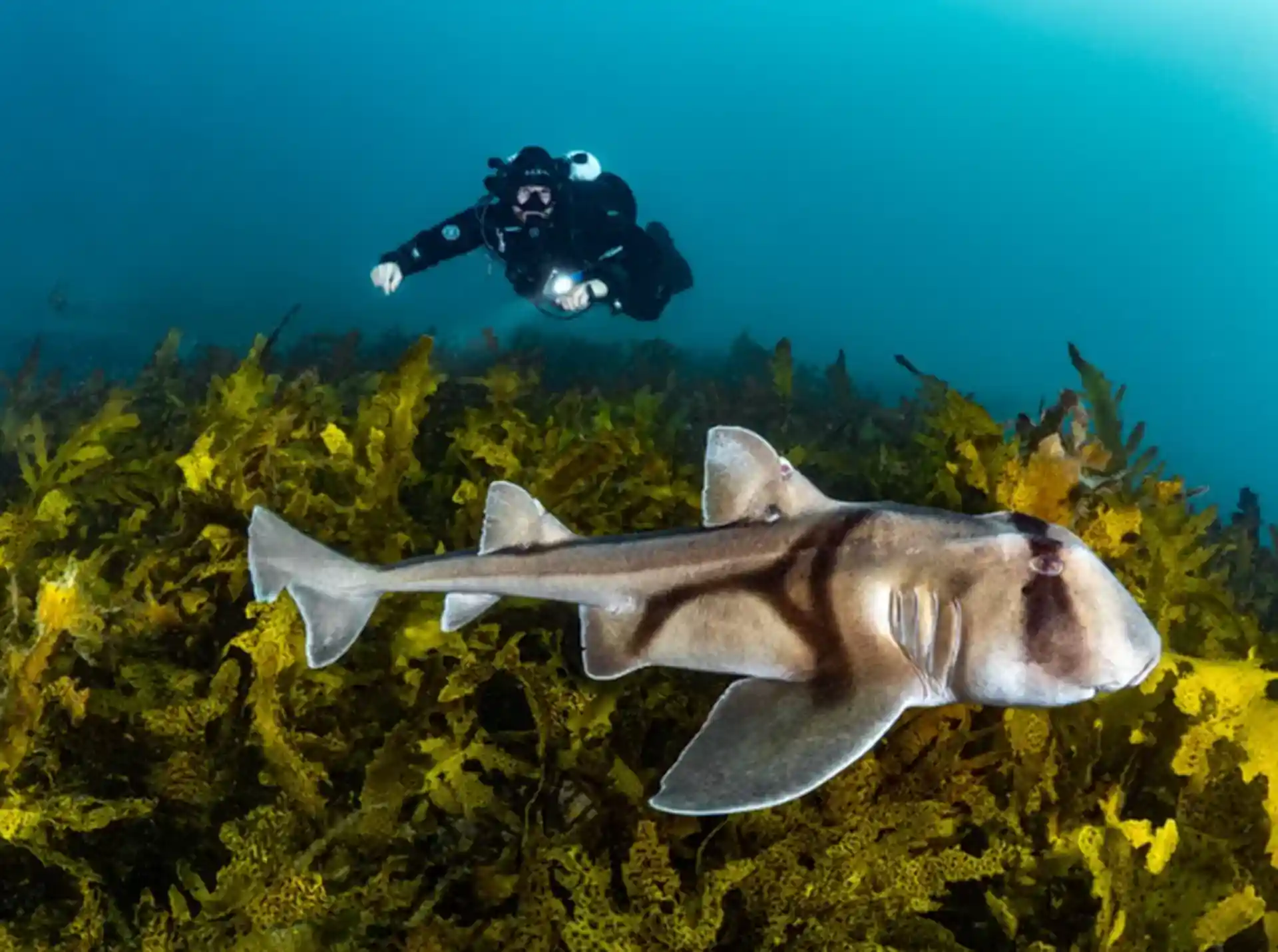 Dive site photo