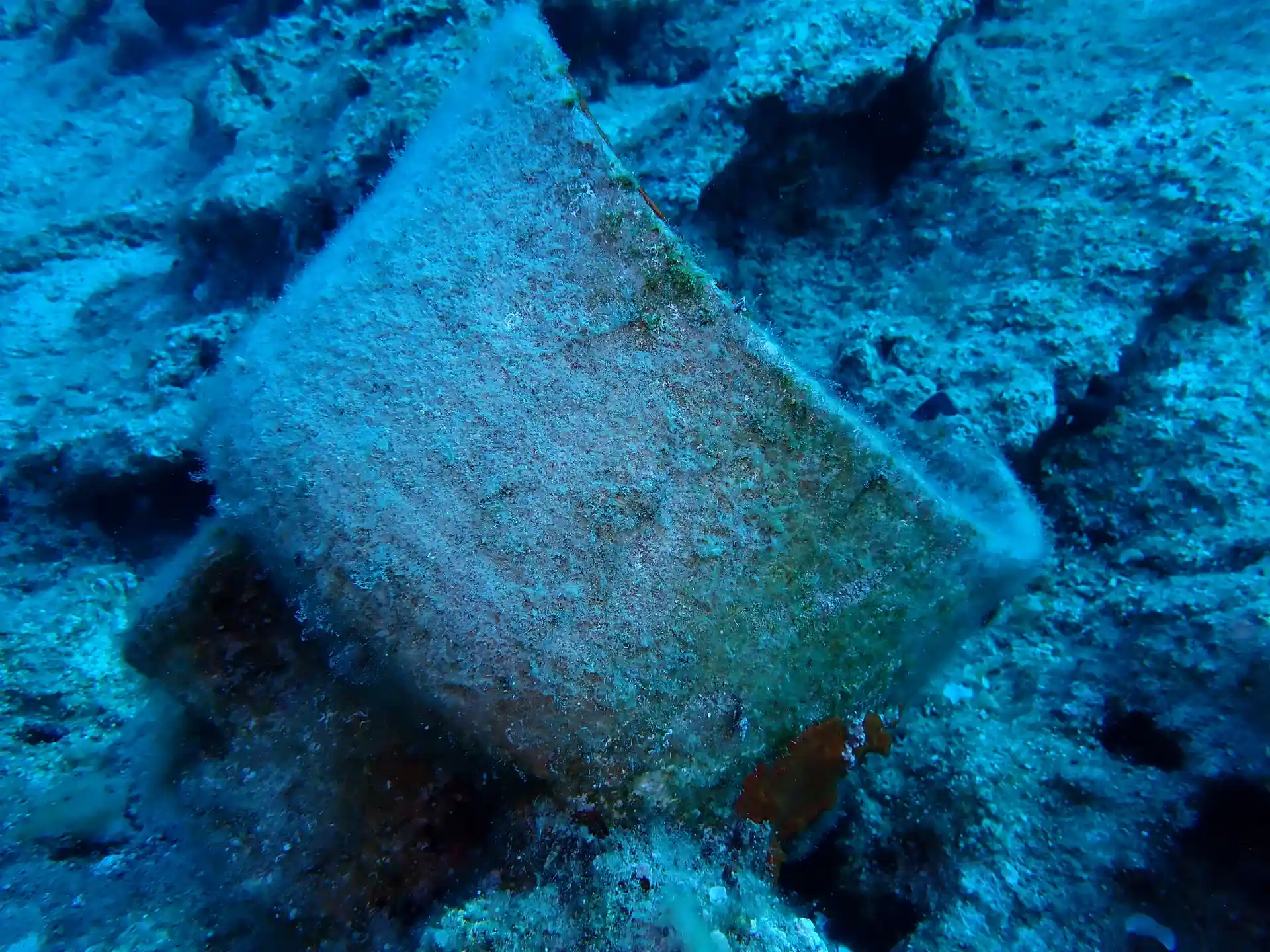Dive site photo