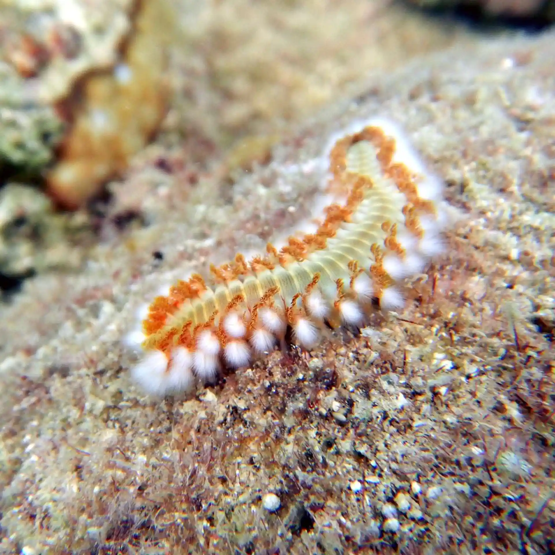 Dive site photo