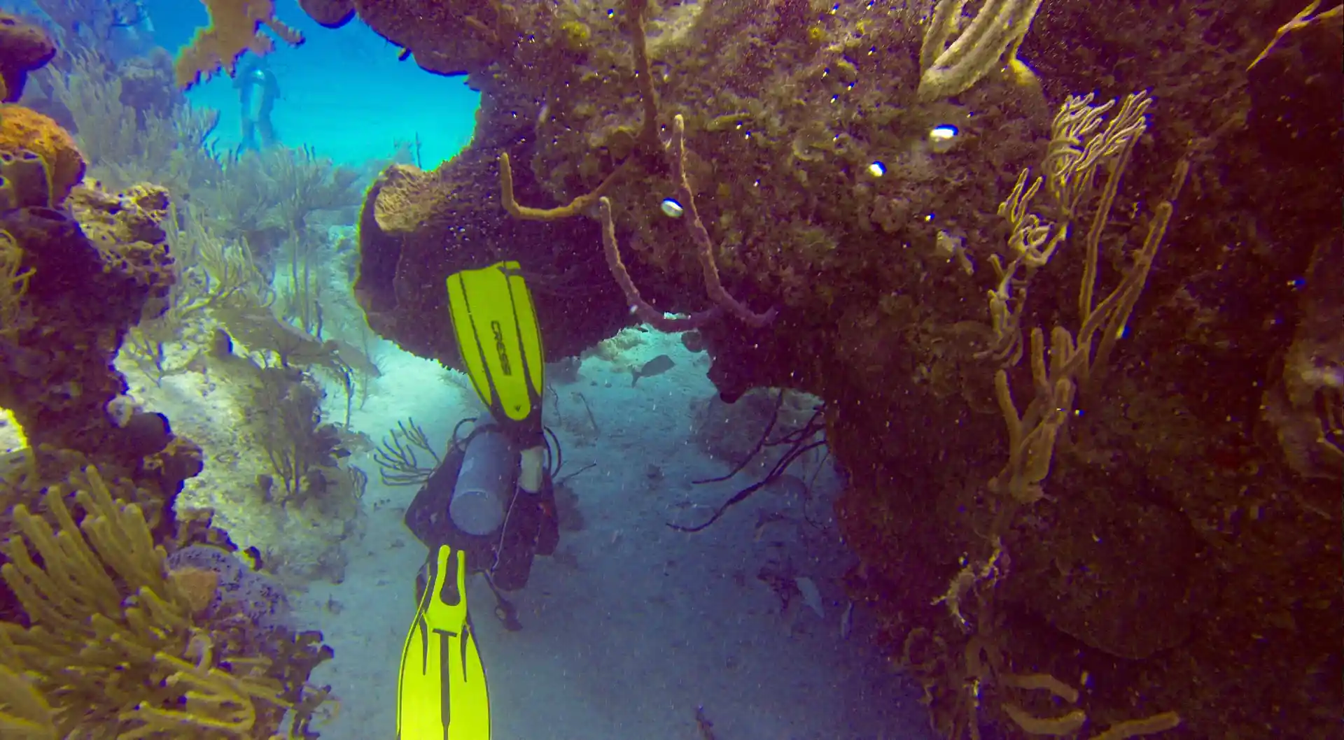 Foto de la tienda de buceo