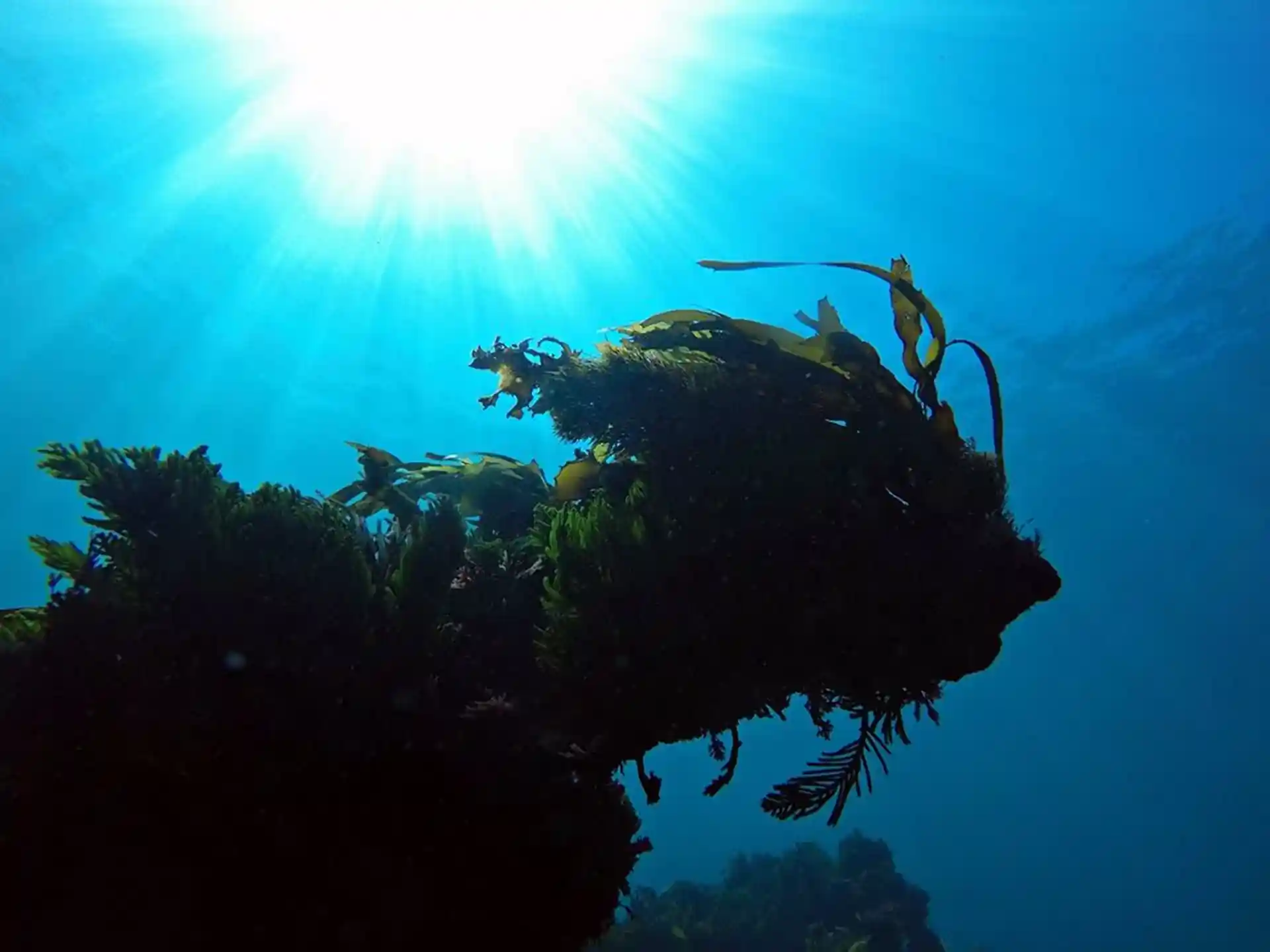 다이빙 포인트 사진