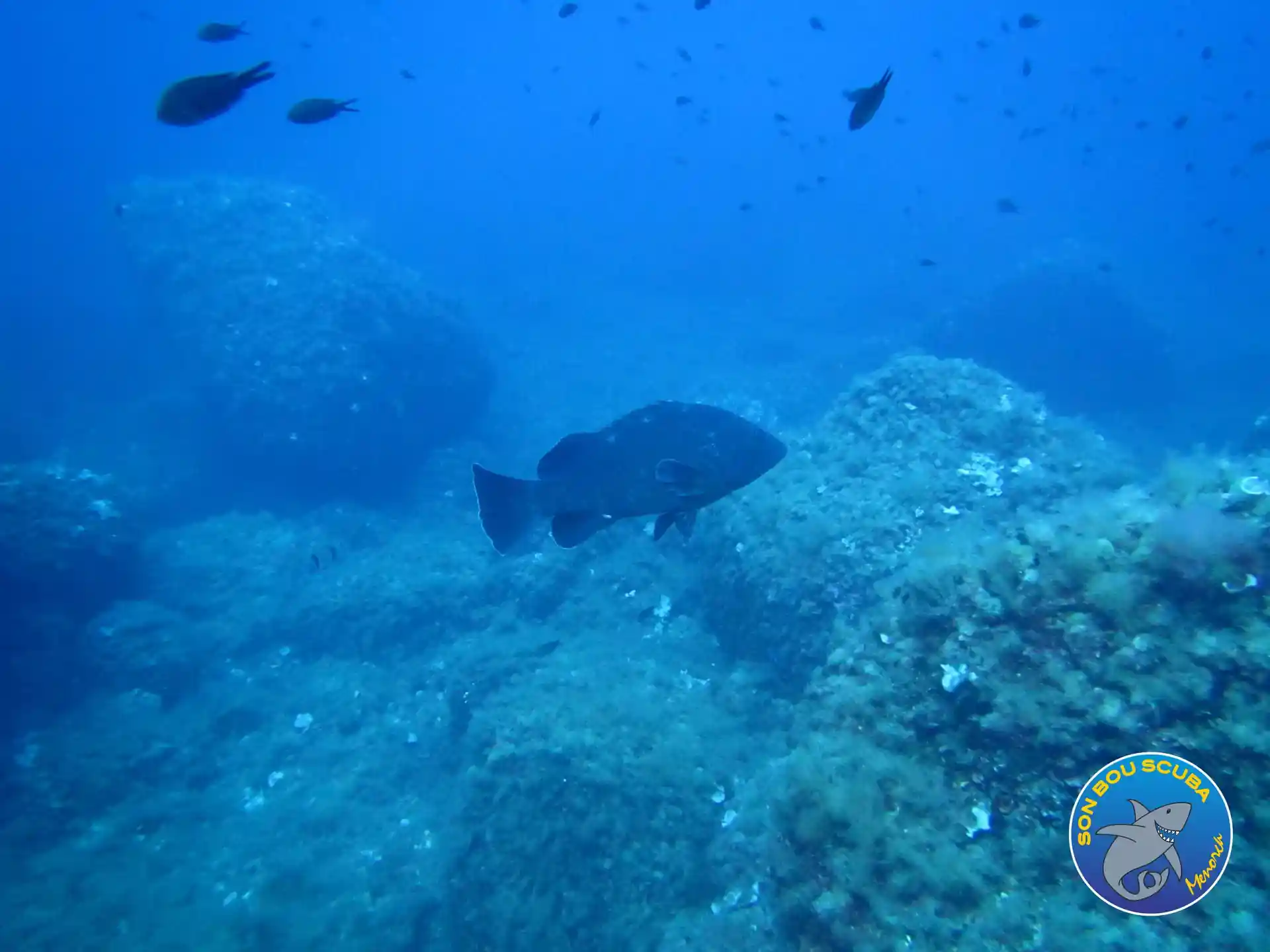 Foto del sitio de buceo
