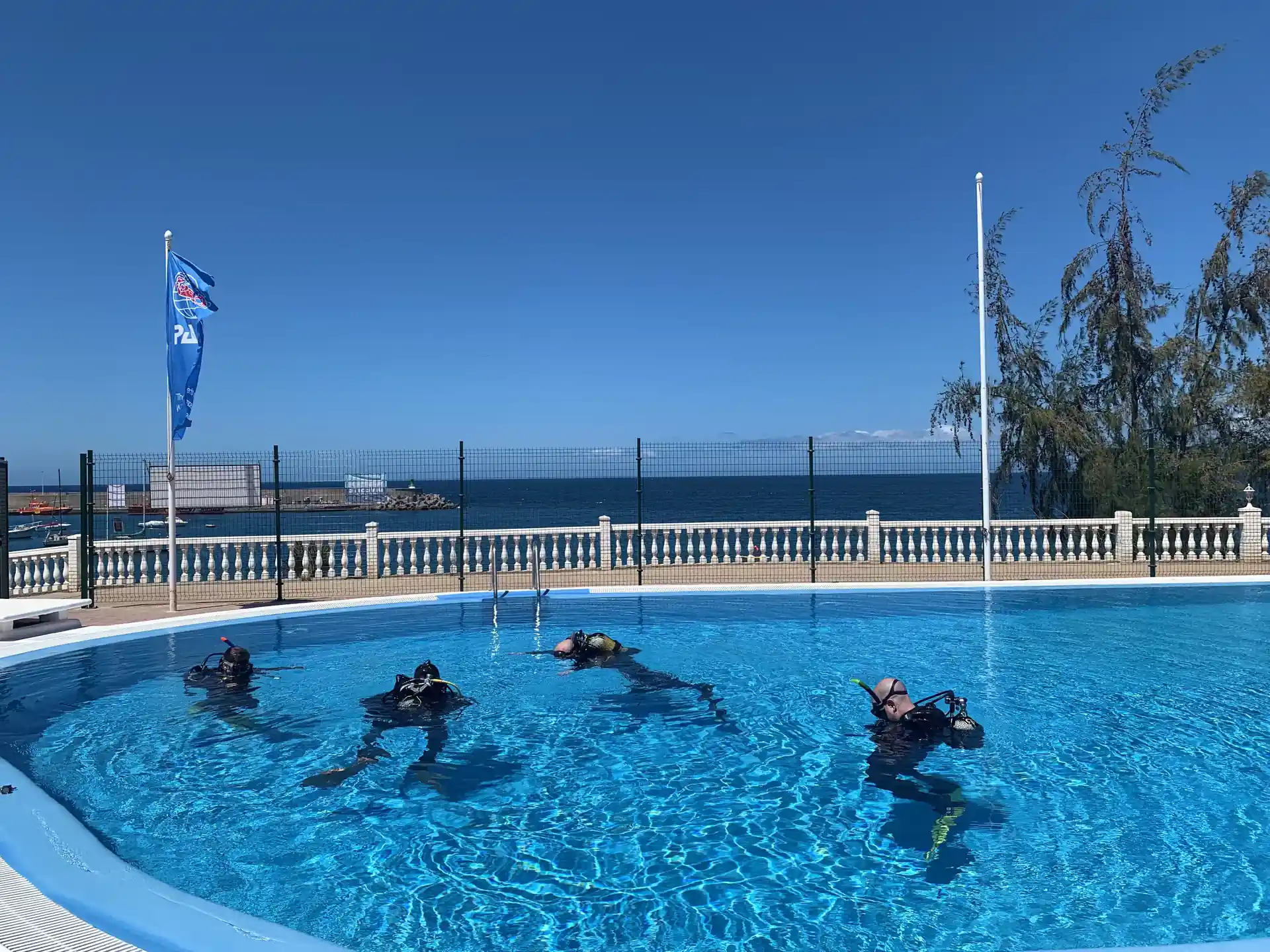 Photo de l'activité