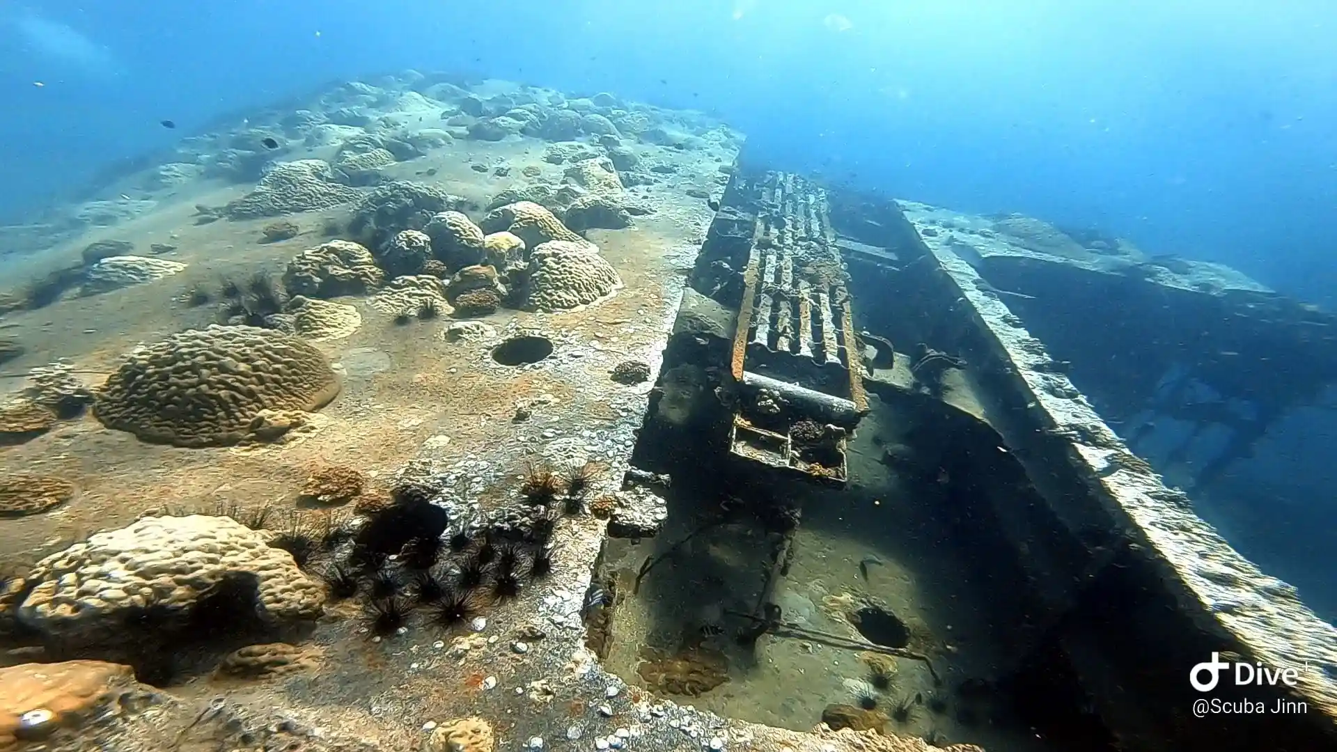 Dive site photo