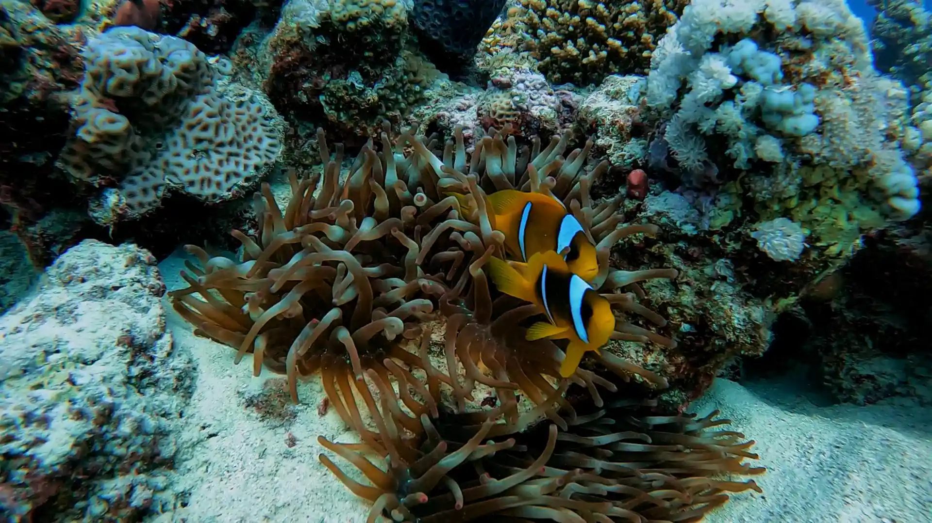 Dive shop photo