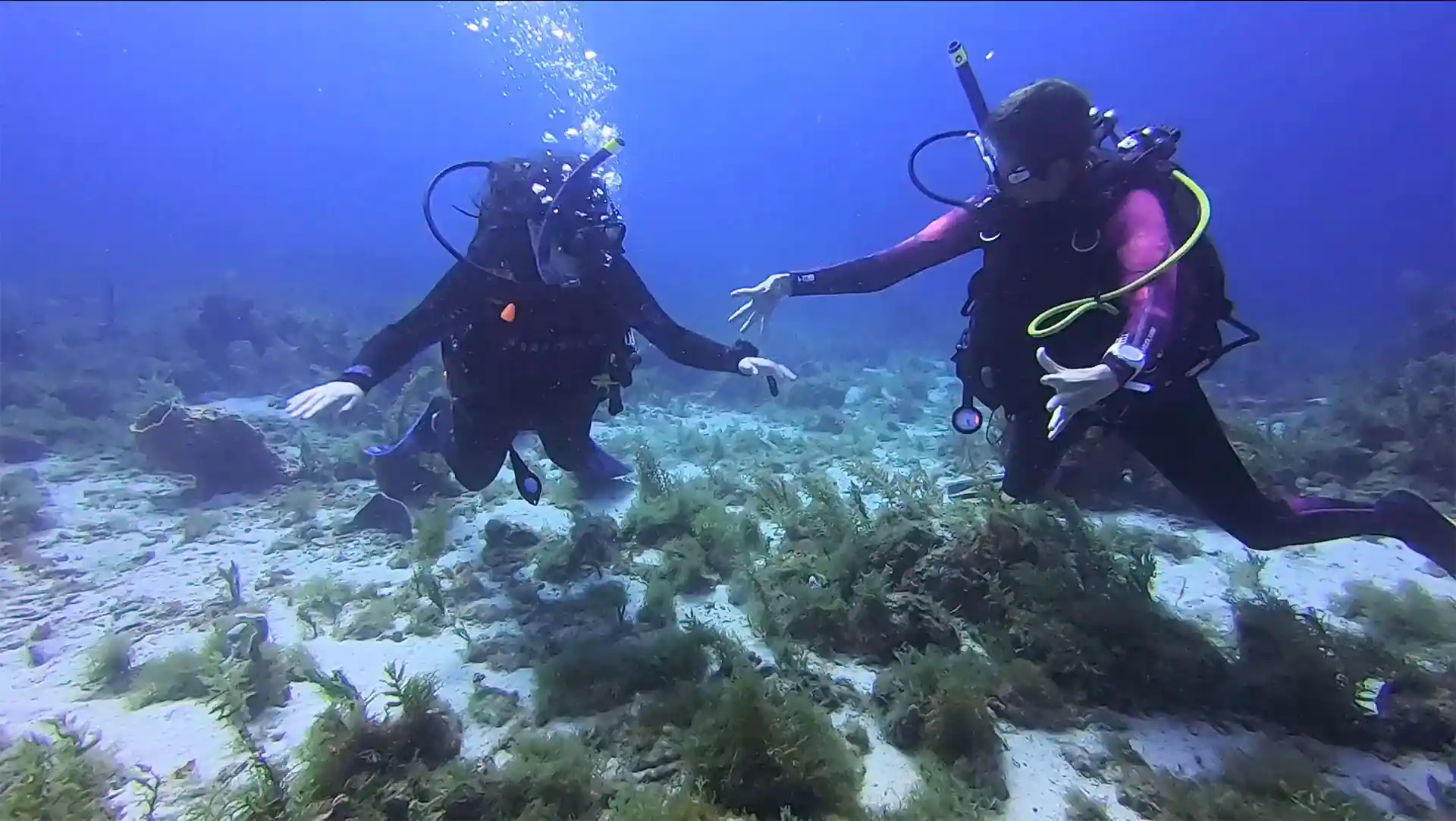 Foto de la actividad